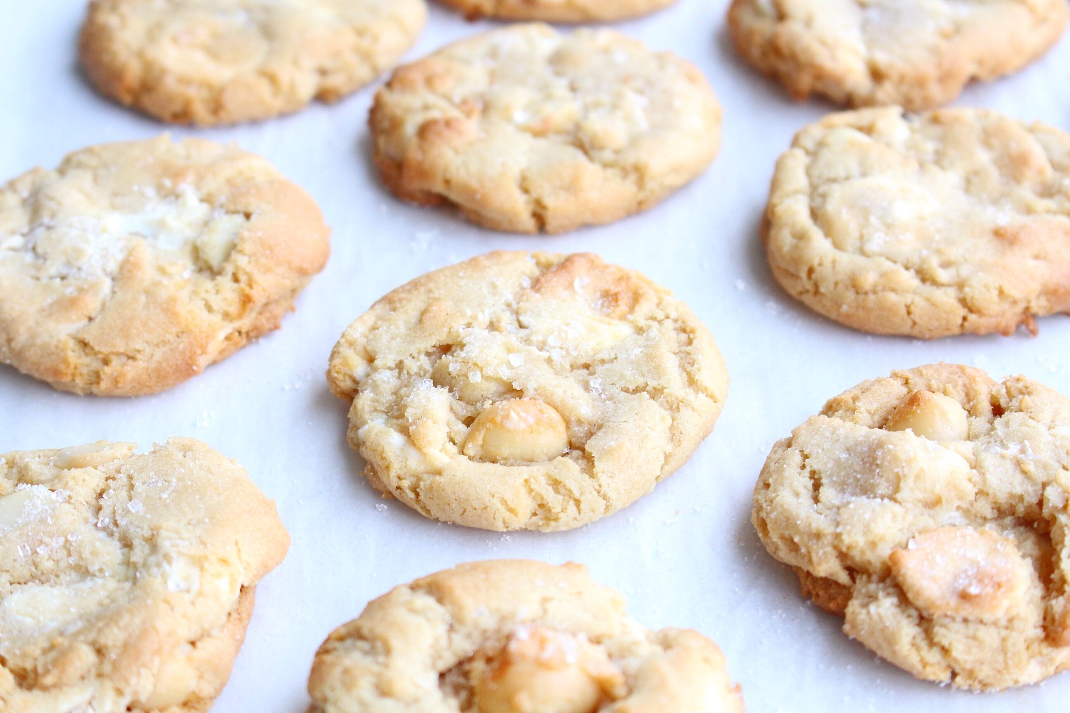 White Chocolate Macadamia Cookies