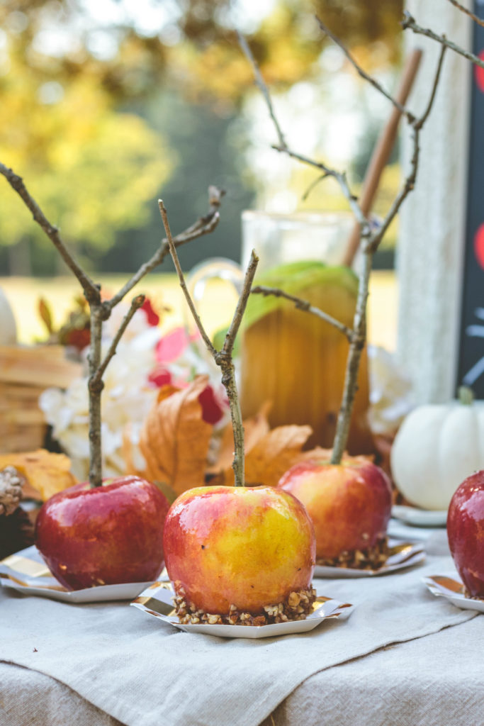 Fall Apple Harvest Party in the Park - The Sweet and Simple Kitchen