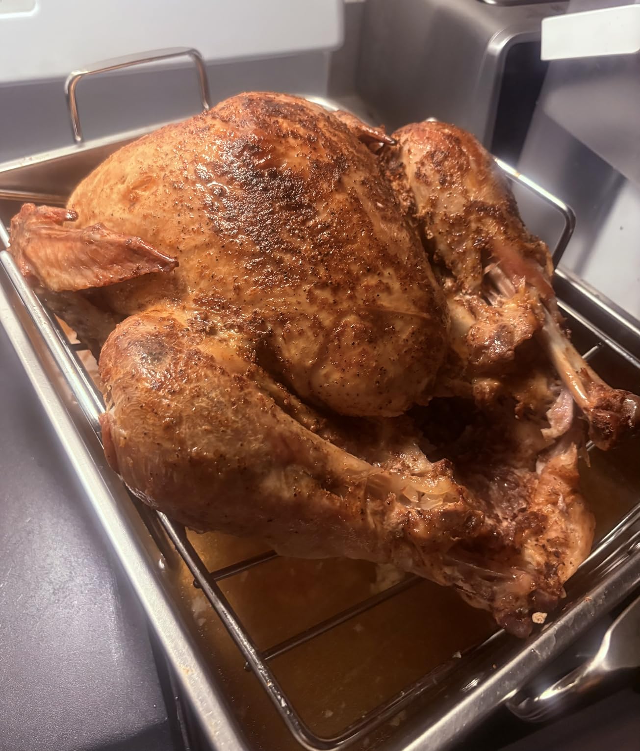 E-far Roasting Pan, 16 x 11.5 Inch Stainless Steel Turkey Roaster with V-shaped & Flat Rack, Dishwasher Safe customer photo 2