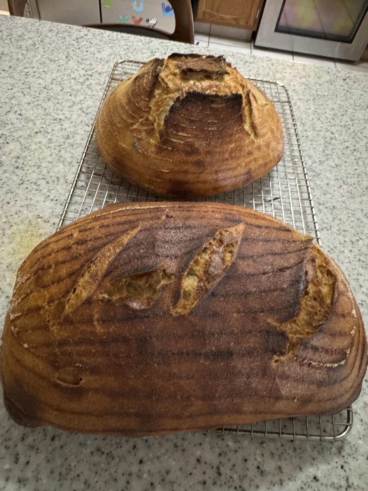 Challenger Bread Pan Cast Iron Loaf Pan with Lid for Artisan Sourdough and Homemade Bread Baking, Pre-Seasoned, Heavy Duty, Oven Safe, Made in USA customer photo 1