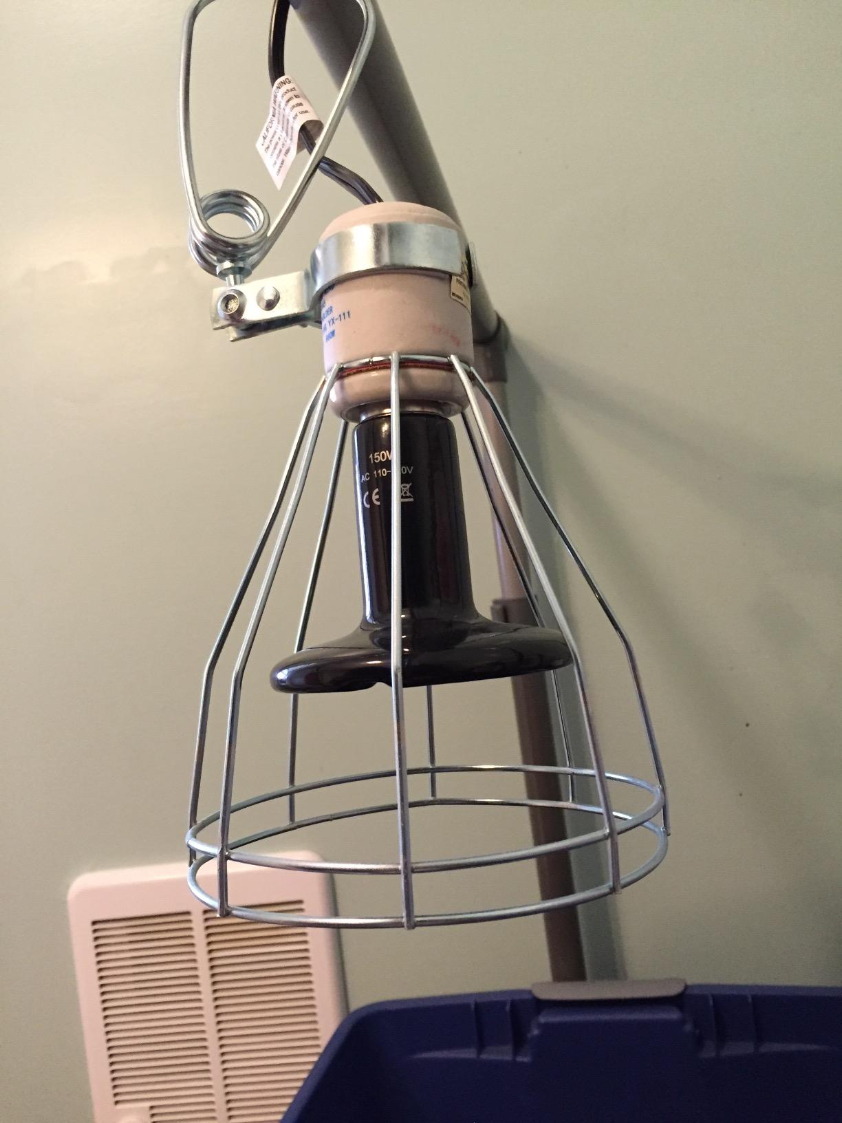 Woods 0324 18/2 Gauge Brooder and 150-Watt Heat Lamp with Wire Grill and Clamp; 6-Foot; Black customer photo 2