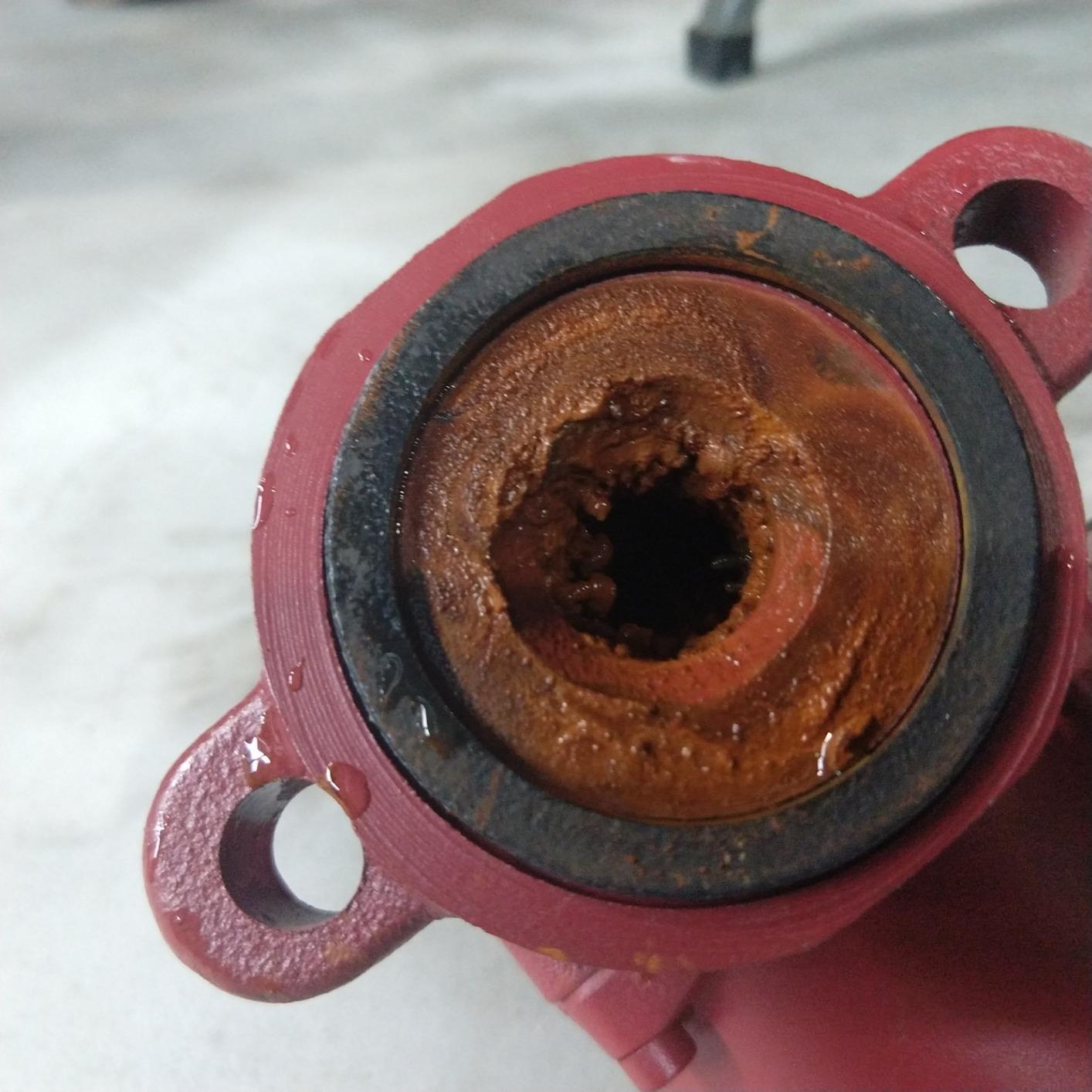 Grundfos 59896155, UP15-42F, SuperBrute Recirculating Pump 1/25 HP,115 -Volt, SMALL RED customer photo 1