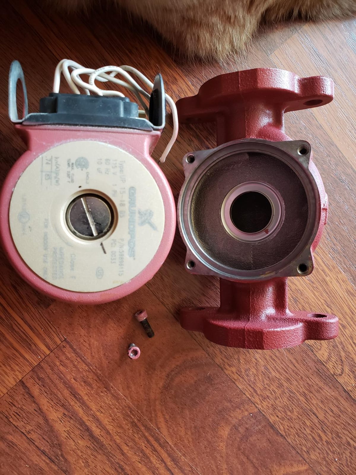 Grundfos 59896155, UP15-42F, SuperBrute Recirculating Pump 1/25 HP,115 -Volt, SMALL RED customer photo 2