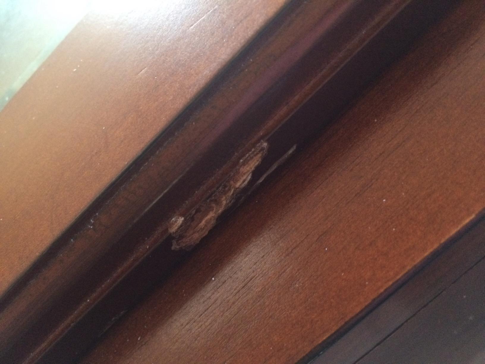 American Furniture Classics Model 724-10 10 Gun Cabinet customer photo 2