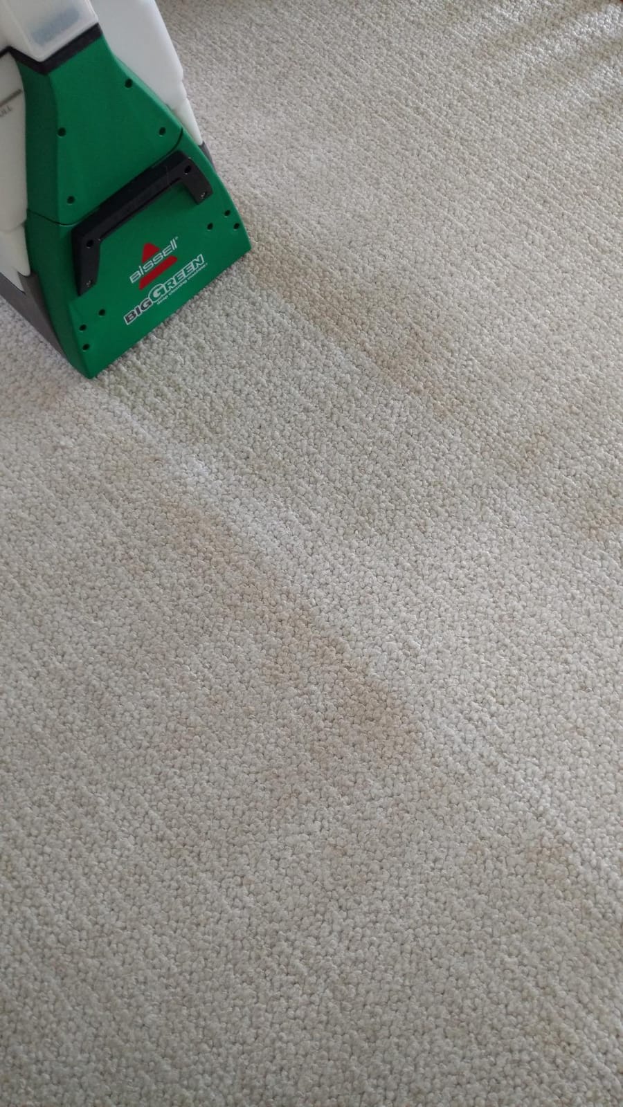 BISSELL Big Green Professional Carpet Cleaner, XL DirtLifter PowerBrush | 9-in. long reach hose; 6-in. tough stain tool; BISSELL PRO MAX Formula included; deep professional clean customer photo 1