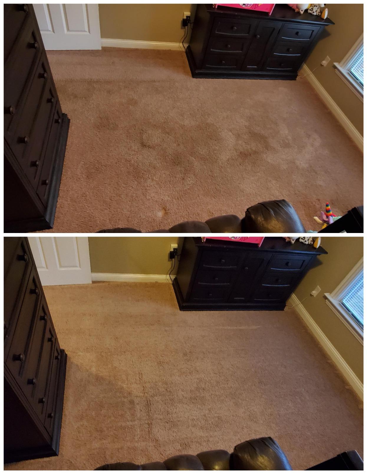 BISSELL Big Green Professional Carpet Cleaner, XL DirtLifter PowerBrush | 9-in. long reach hose; 6-in. tough stain tool; BISSELL PRO MAX Formula included; deep professional clean customer photo 2