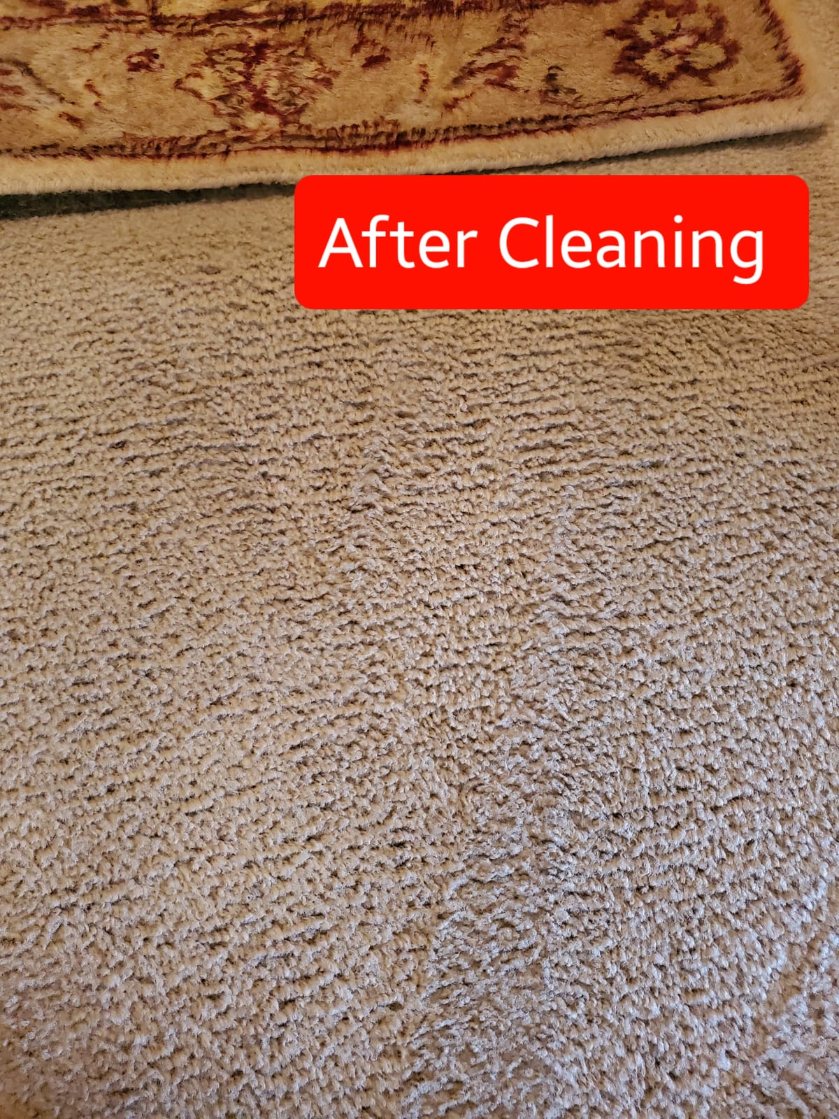 Bissell 78H63 Deep Clean Pro 4X Deep Cleaning Concentrated Carpet Shampoo, 48 ounces - Silver | 4X concentrated formula; deep cleaning carpet shampoo; 48 oz for multiple cleaning sessions customer photo 1