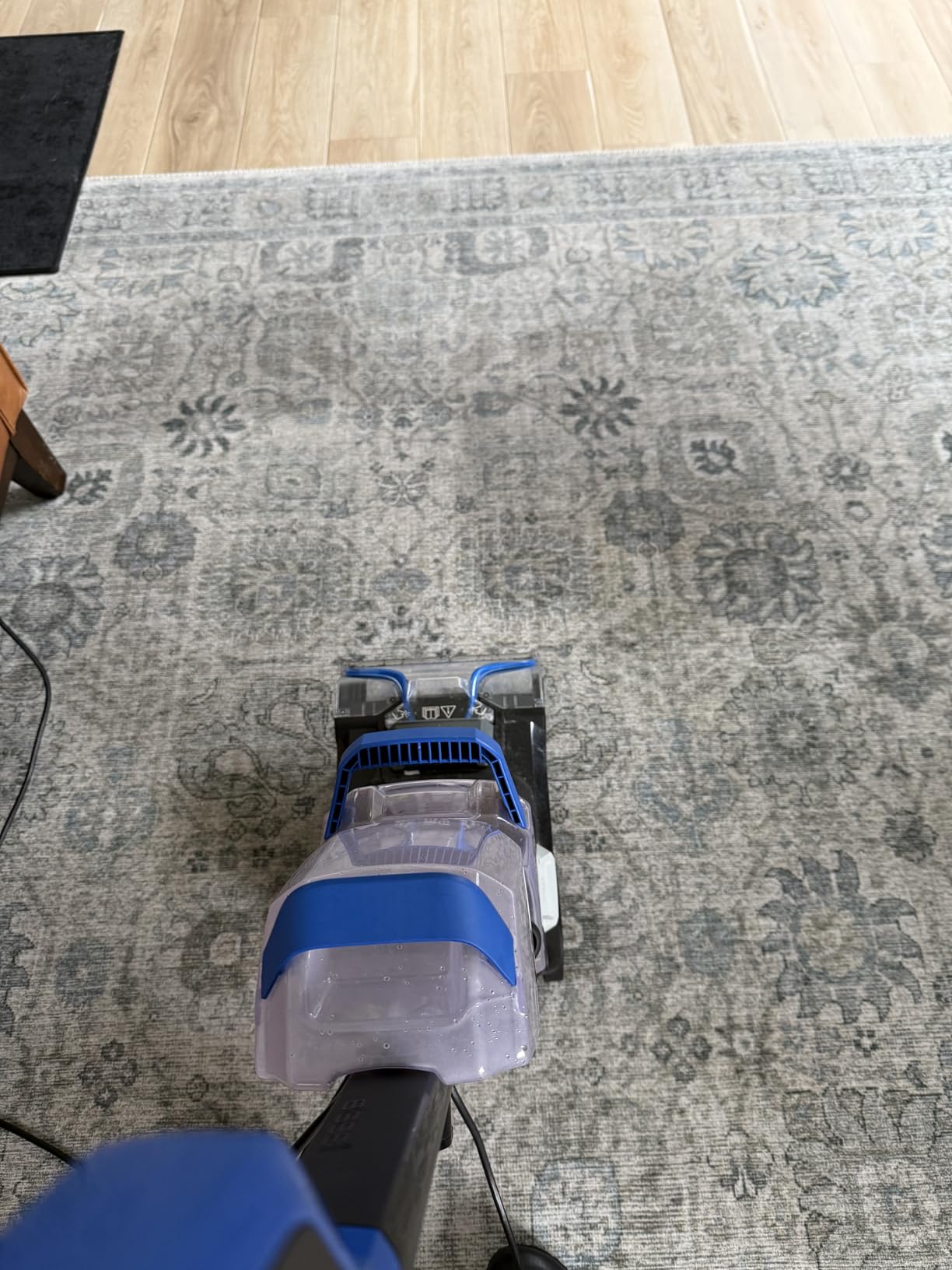 Bissell 78H63 Deep Clean Pro 4X Deep Cleaning Concentrated Carpet Shampoo, 48 ounces - Silver | 4X concentrated formula; deep cleaning carpet shampoo; 48 oz for multiple cleaning sessions customer photo 2