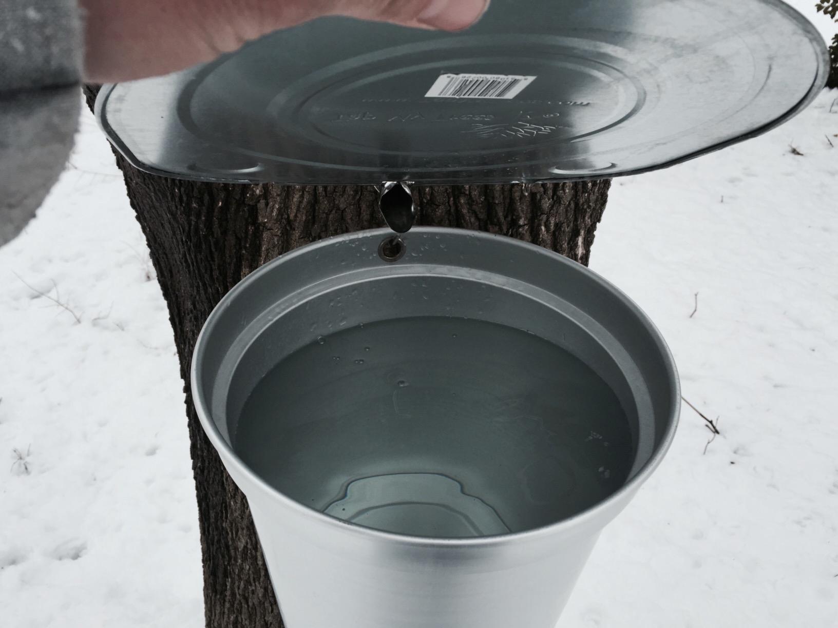 Tap My Trees Maple Sugar Starter Kit, Silver customer photo 1