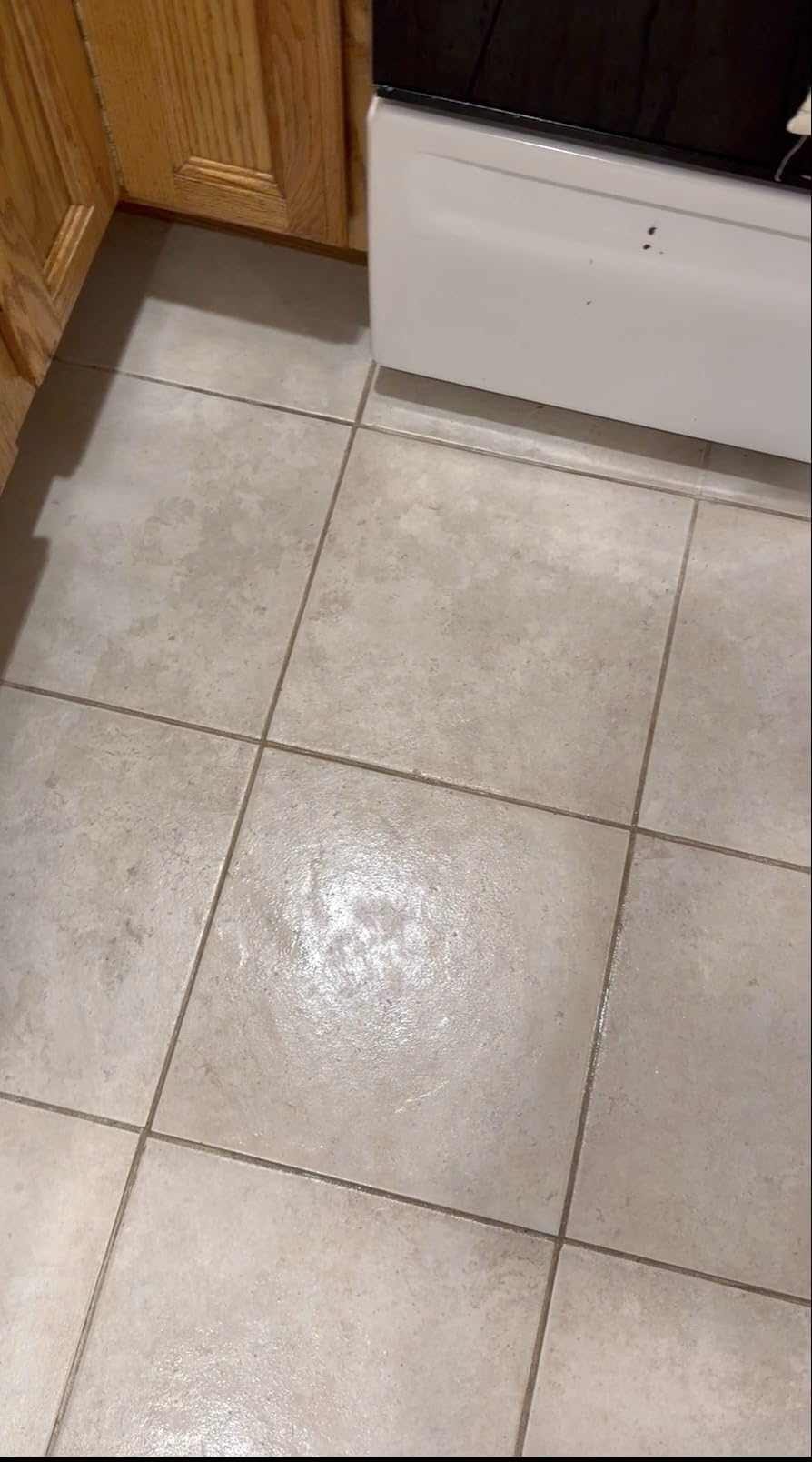 BISSELL Steam Mop 1940A PowerFresh Floor Steam Cleaner for Hard Wood & Tile with Natural Sanitization, Easy Scrubber, Variable Steam, 12 inch Cleaning Path customer photo 1