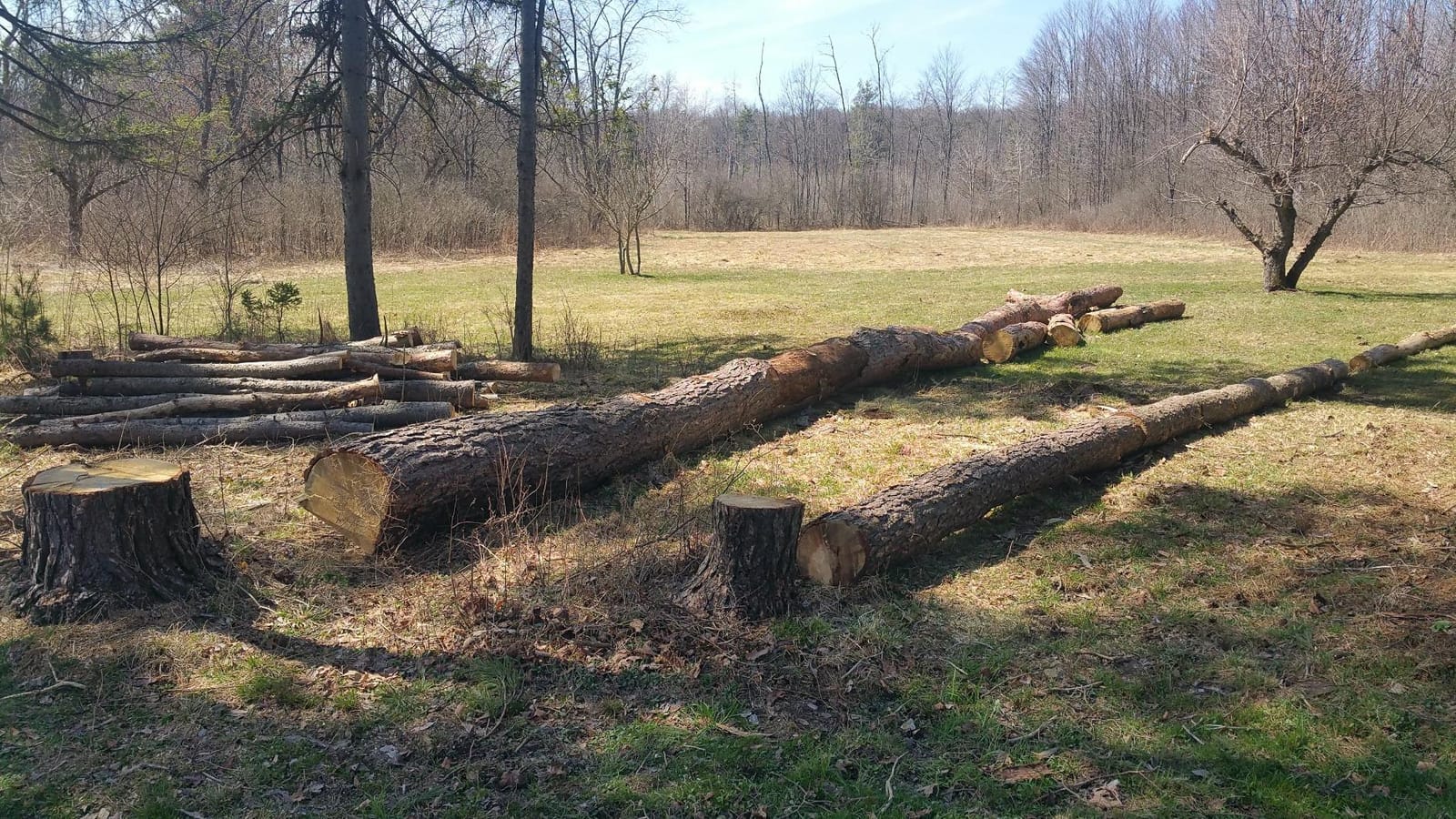 Chain Saw, Gas, 20 in. Bar, 59.8cc customer photo 2