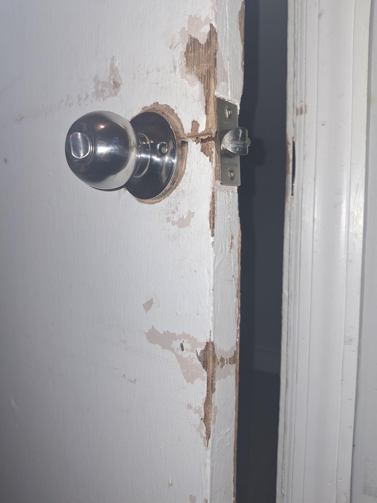 Prime-Line Door Reinforcement Plate, Stainless Steel, for 1-3/8 in. Doors customer photo 1