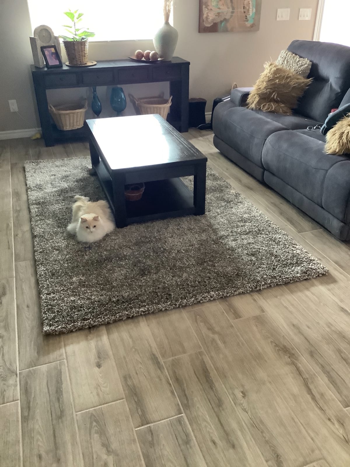SAFAVIEH Milan Shag Collection Area Rug - 8' x 10', Dark Beige, Solid Design, Non-Shedding & Easy to Clean, Plush Thick Pile, Ideal for Living Room, Bedroom (SG180-1414) customer photo 1