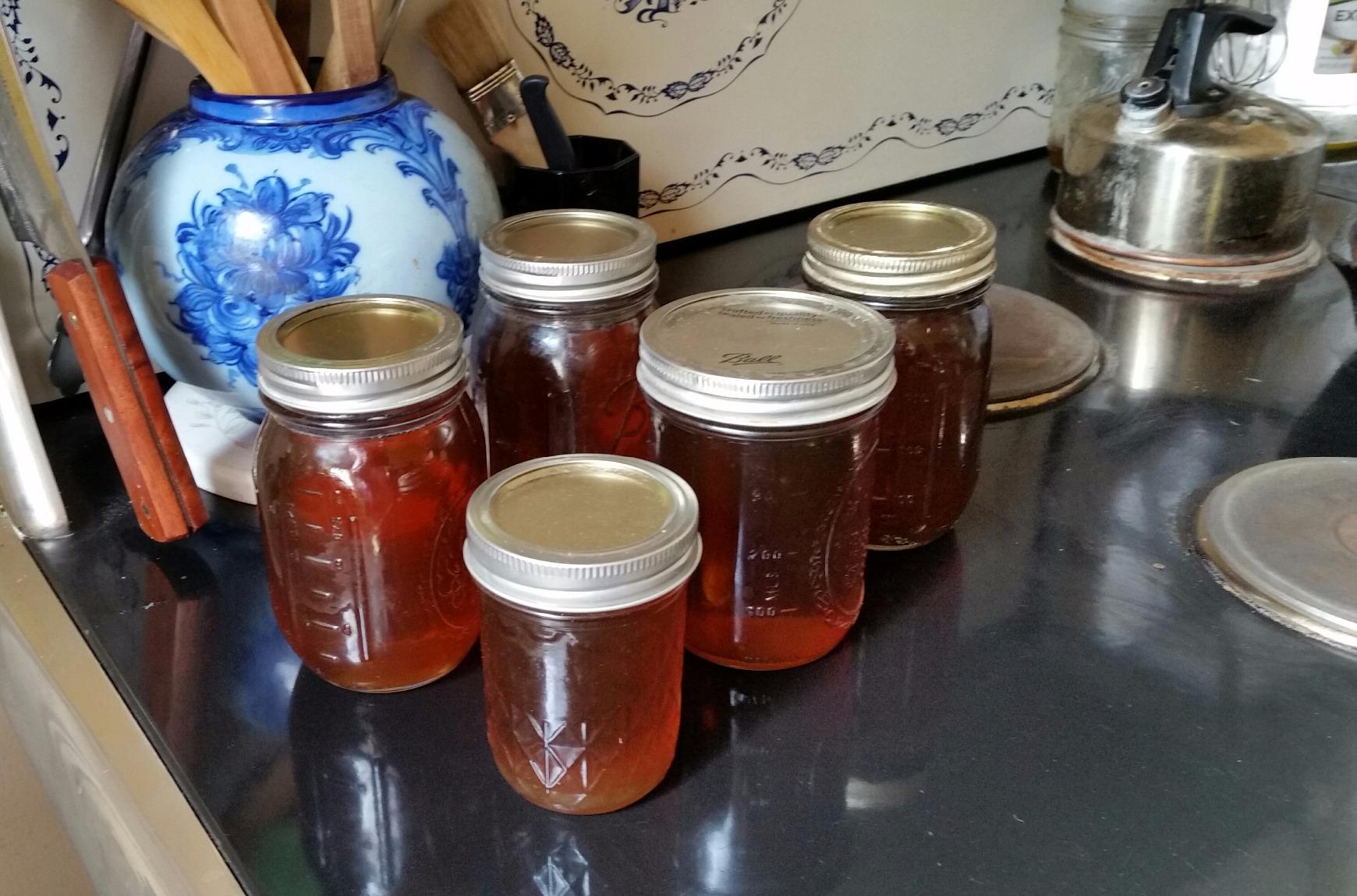 MAPLE TAPPER Maple Syrup Tree Tapping Kit - (10) Spiles + (10) 3' Tubes + (1) 1 QT Maple Sap Filter + 80 Page Book 'Guide to Maple Tapping' & Recipe Cards, BPA FREE, Made in North America customer photo 1