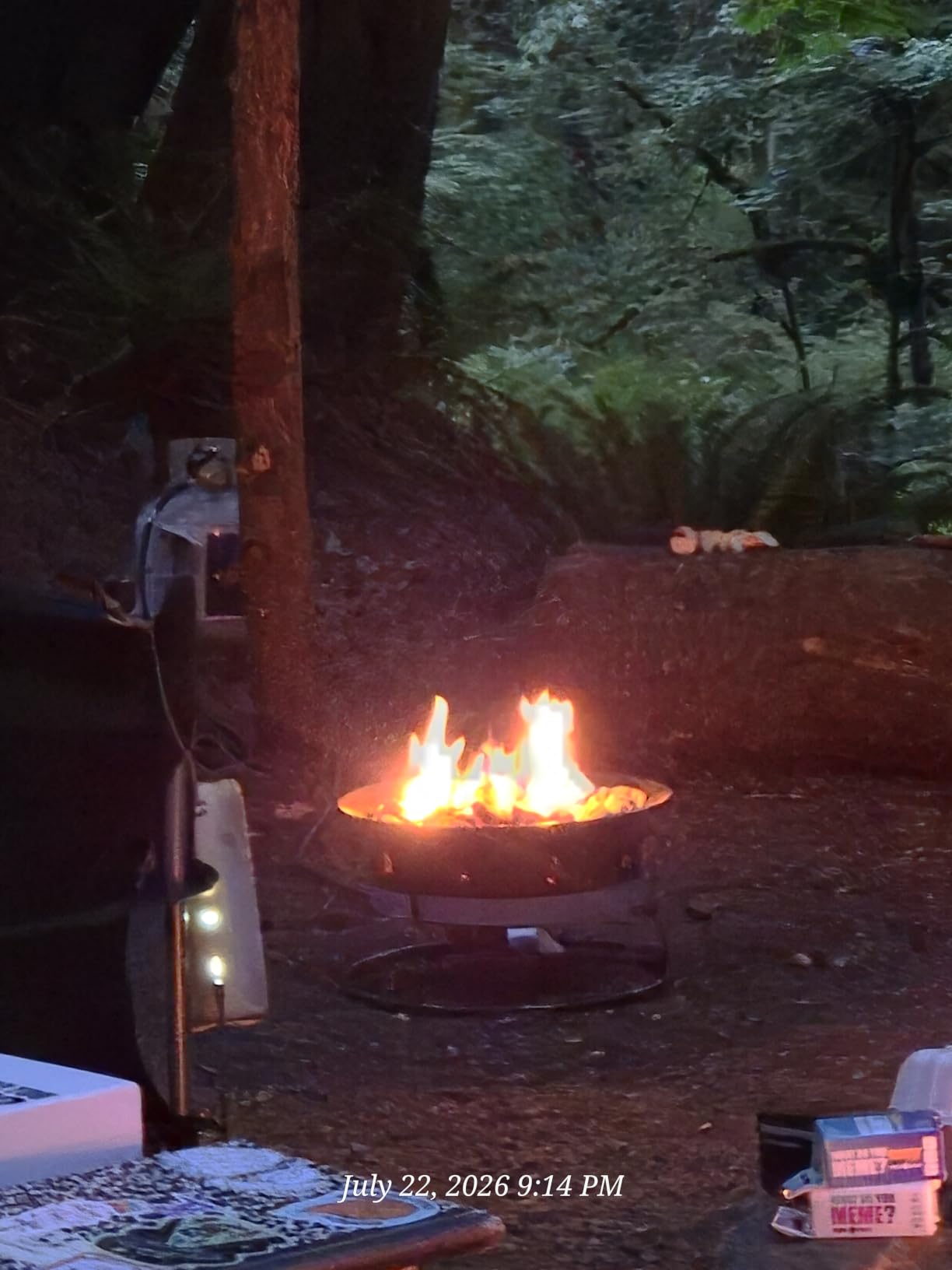 Outland Living Portable Propane Fire Pit, 19-inch, 58,000 BTU with Fire Pit Cover & Carry Kit, Smokeless Gas Firebowl | Perfect for Camping, Patio, Backyard, Tailgating, Deck, RV| Black 893 Deluxe customer photo 2