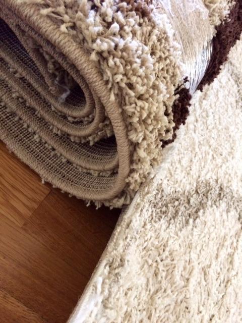 SAFAVIEH Dallas Shag Collection Accent Rug - 4' x 6', Ivory & Grey, Trellis Design, Non-Shedding & Easy Care, 1.5-inch Thick Ideal for High Traffic Areas (SGD257F) customer photo 1