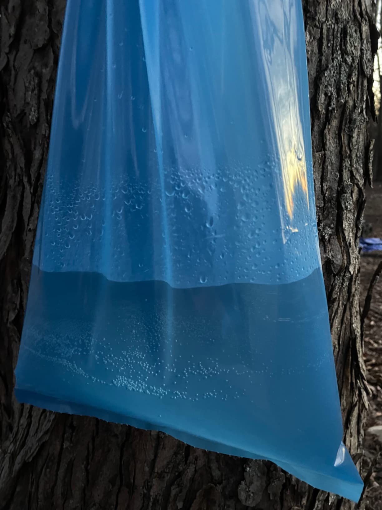 Maple Syrup Tapping Kit with EZ Sap Sack Holders and Sap Meister Taps (10 Pack), Includes 5/16