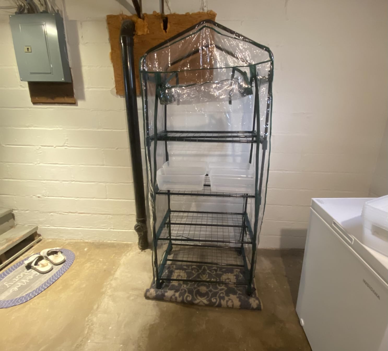 4 Tier Mini Greenhouse - Portable Greenhouse with Locking Wheels and PVC Cover for Indoor or Outdoor Green House by Pure Garden customer photo 1