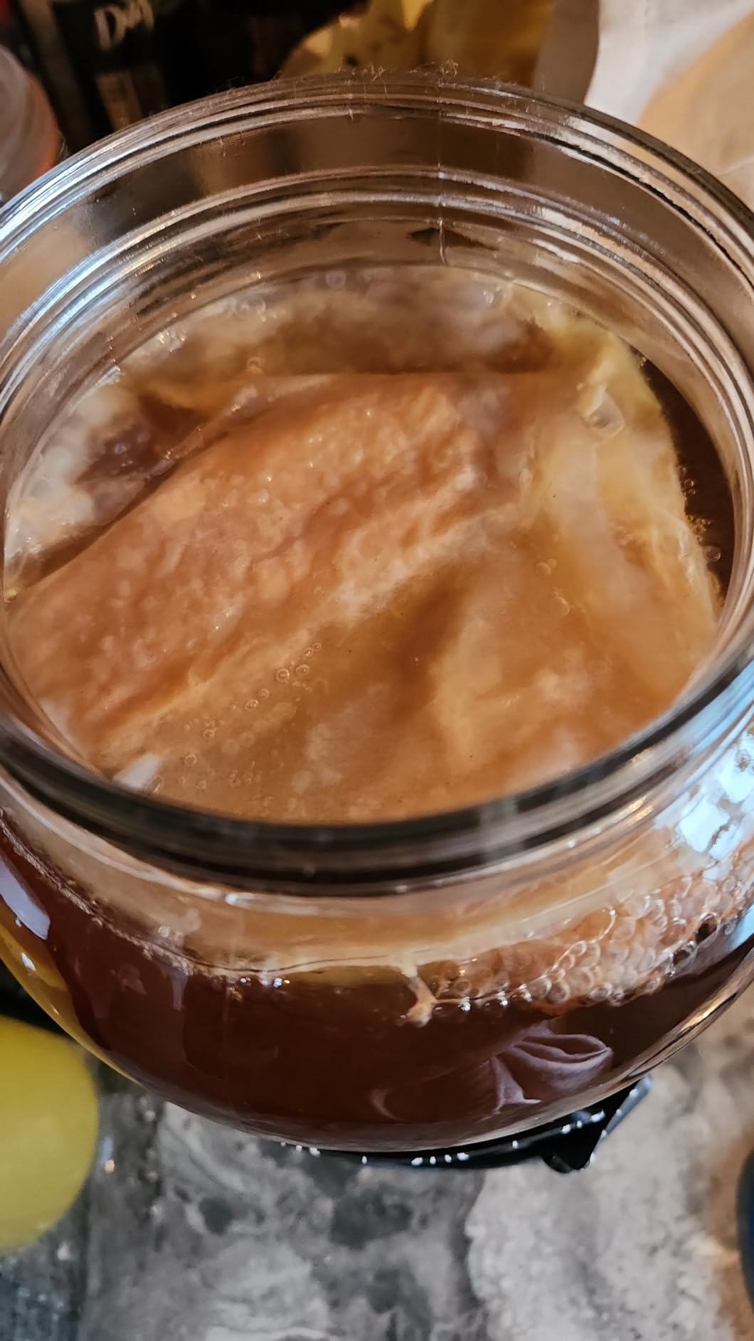 Fermentaholics Kombucha Brewing Starter Kit - USDA Certified Organic SCOBY & Tea, Complete Home Kombucha Making Kit with Culture, Kosher Certified customer photo 1