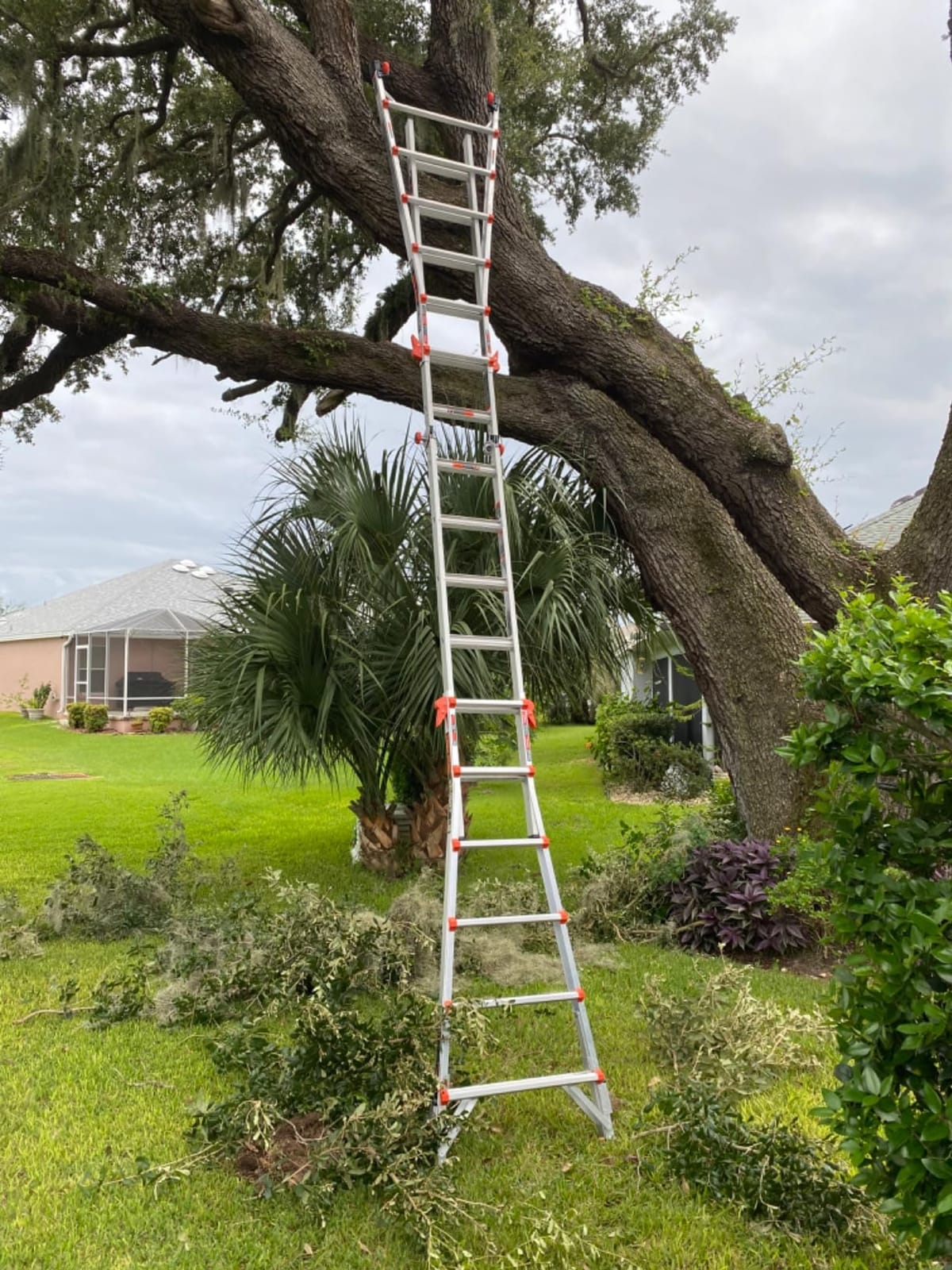 Little Giant Velocity, Aluminum Ladder, 18 ft with Leg Levelers, 15417-801 customer photo 2