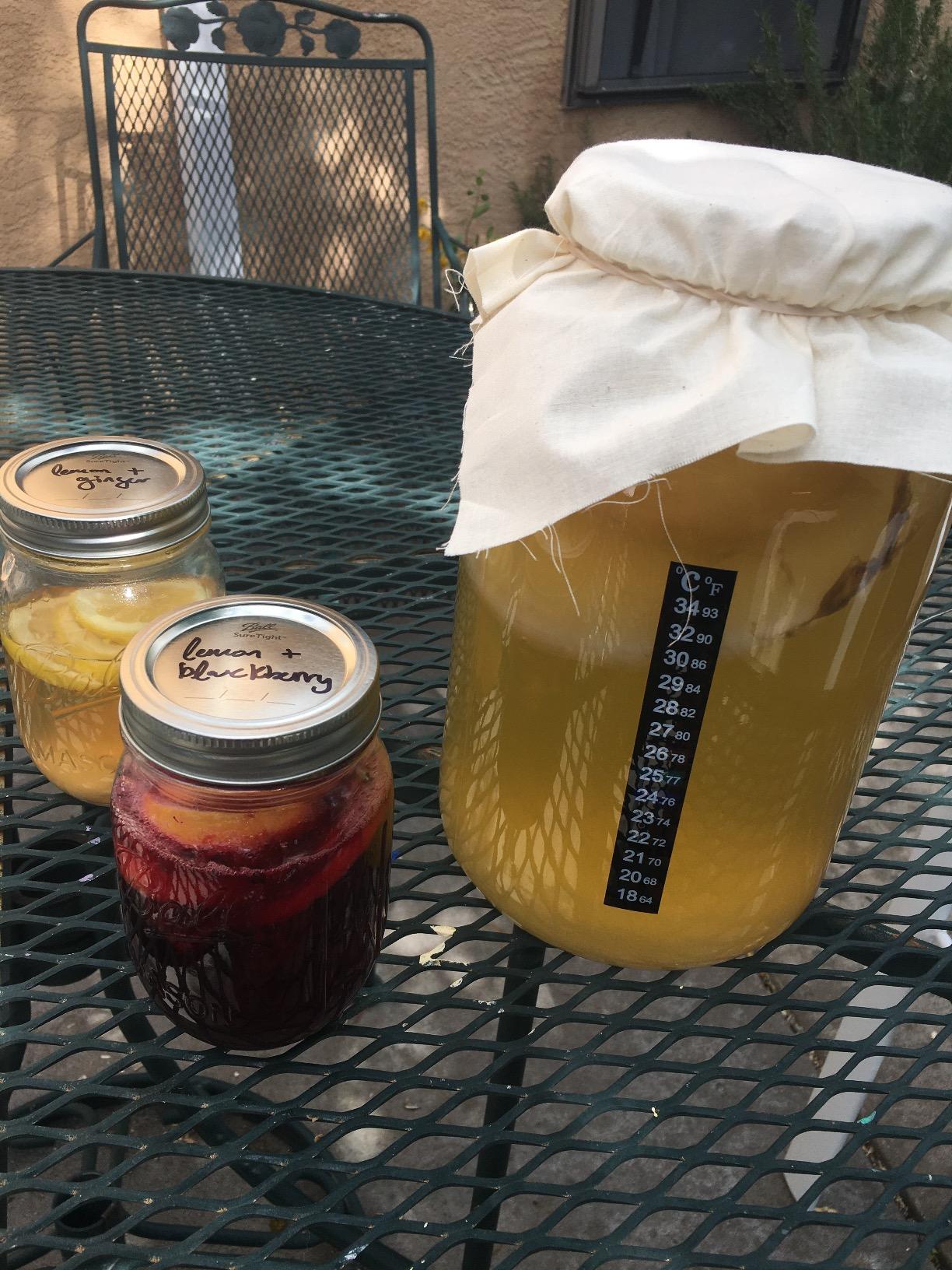 Kombucha Essentials Kit - Includes USDA Organic Kombucha SCOBY + 1-Gallon Glass Fermenting Jar with Breathable Cover + pH Strips + Rubber Band + Adhesive Thermometer - Brew kombucha at Home customer photo 2