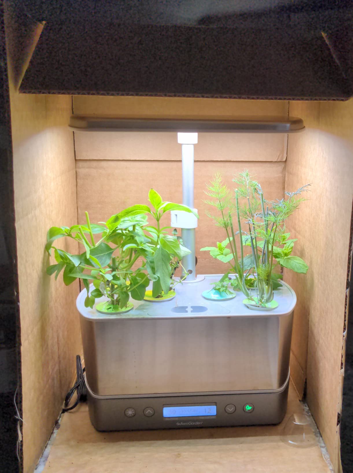 AeroGarden Harvest Elite, Stainless Steel | Indoor Garden with LED Grow Light and Seed Pod Kit customer photo 2
