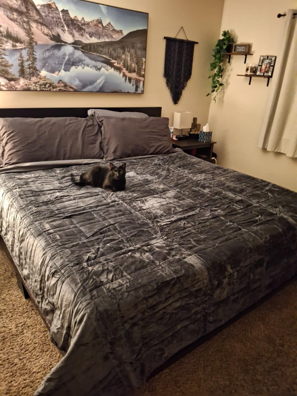 OMYSTYLE Warming & Cooling Weighted Blanket for Adult (25lb, 60 X 80 Inches) - Reversible Tencel/Short Plush Twin Size Weighted Blanket, Bonus Carry Bag Included customer photo 2