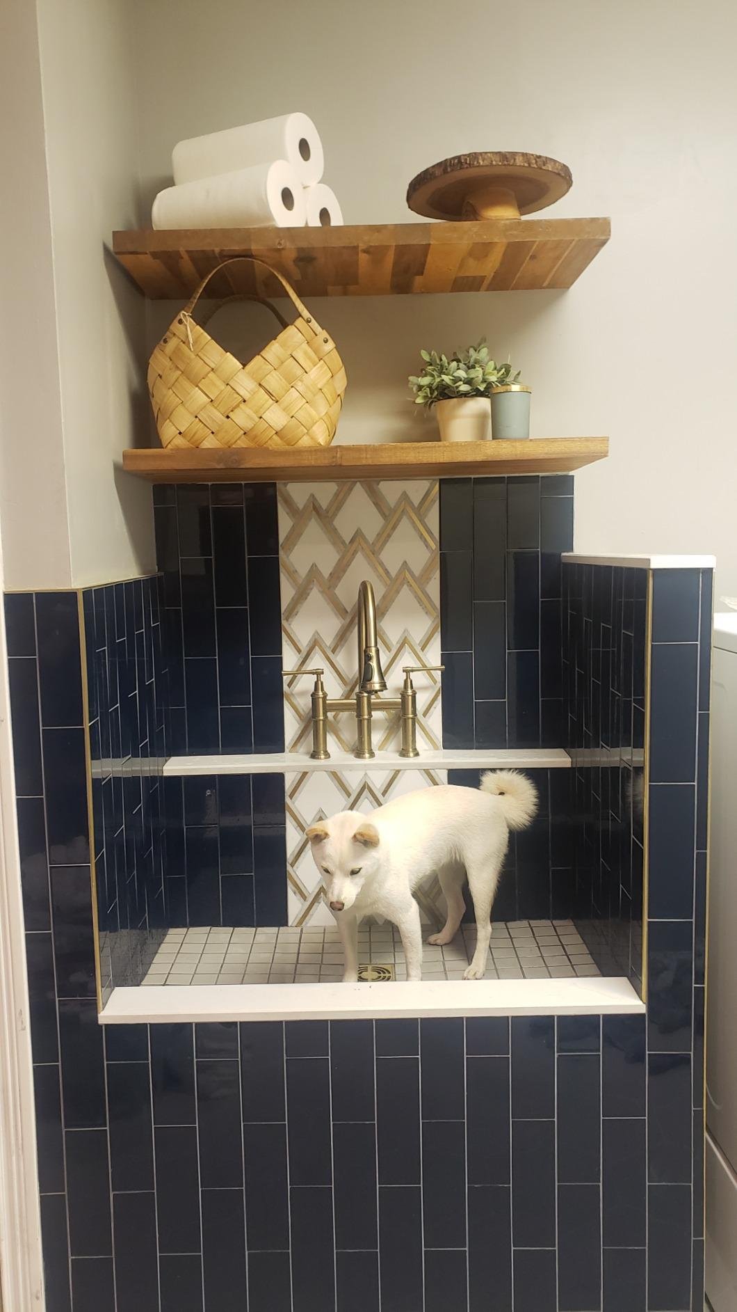 KRAUS Allyn Transitional Bridge Kitchen Faucet with Pull-Down Sprayhead in Brushed Gold, KPF-3121BG customer photo 1