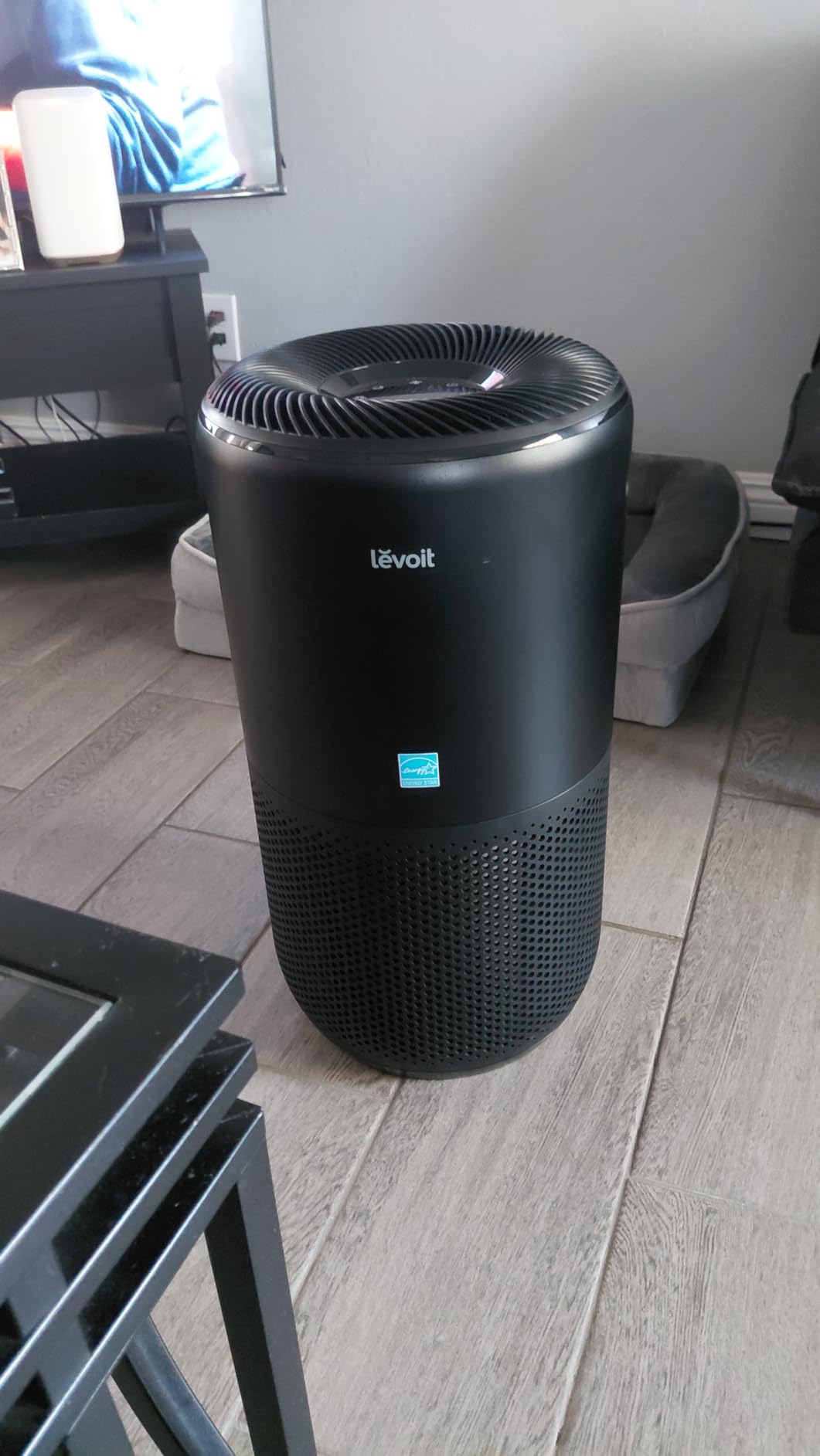 LEVOIT Air Purifier for Home Allergies and Pets Hair Smokers in Bedroom, H13 True HEPA Filter, 24db Filtration System Cleaner Odor Eliminators, Remove 99.97% Dust Smoke Mold Pollen, Core 300, White customer photo 1
