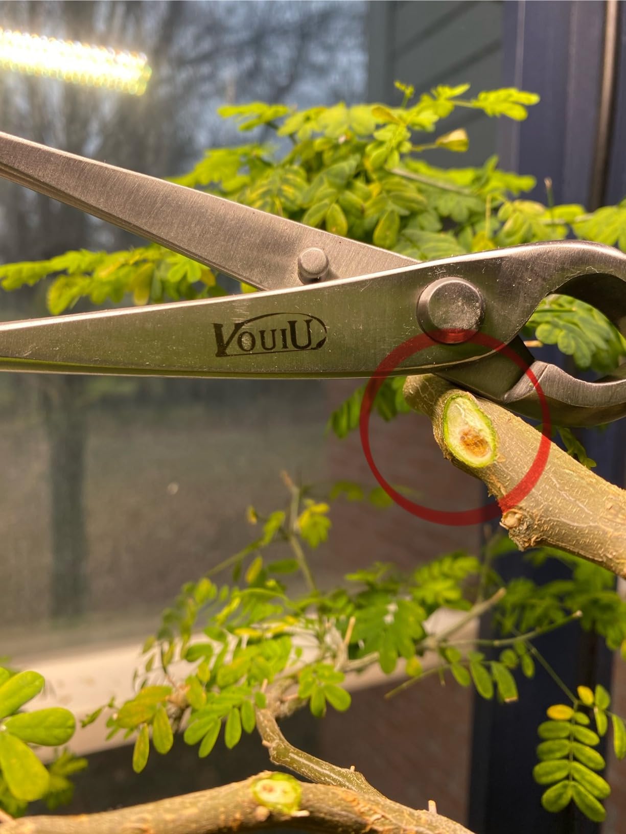 Vouiu 4-Piece Bonsai Tool Set, Concave Cutter, Knob Cutter, Trunk Splitter, Bonsai Scissors customer photo 2