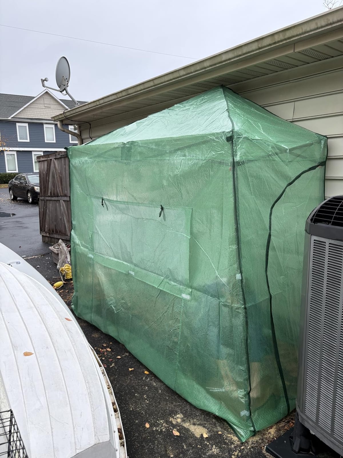 EAGLE PEAK 8x6 Easy Setup Pop Up Greenhouse, Clear/Green | Walk-In Greenhouses for Outdoors, Green House for Winter Protection, Roll-Up Doors & Mesh Windows, One Person Setup customer photo 1