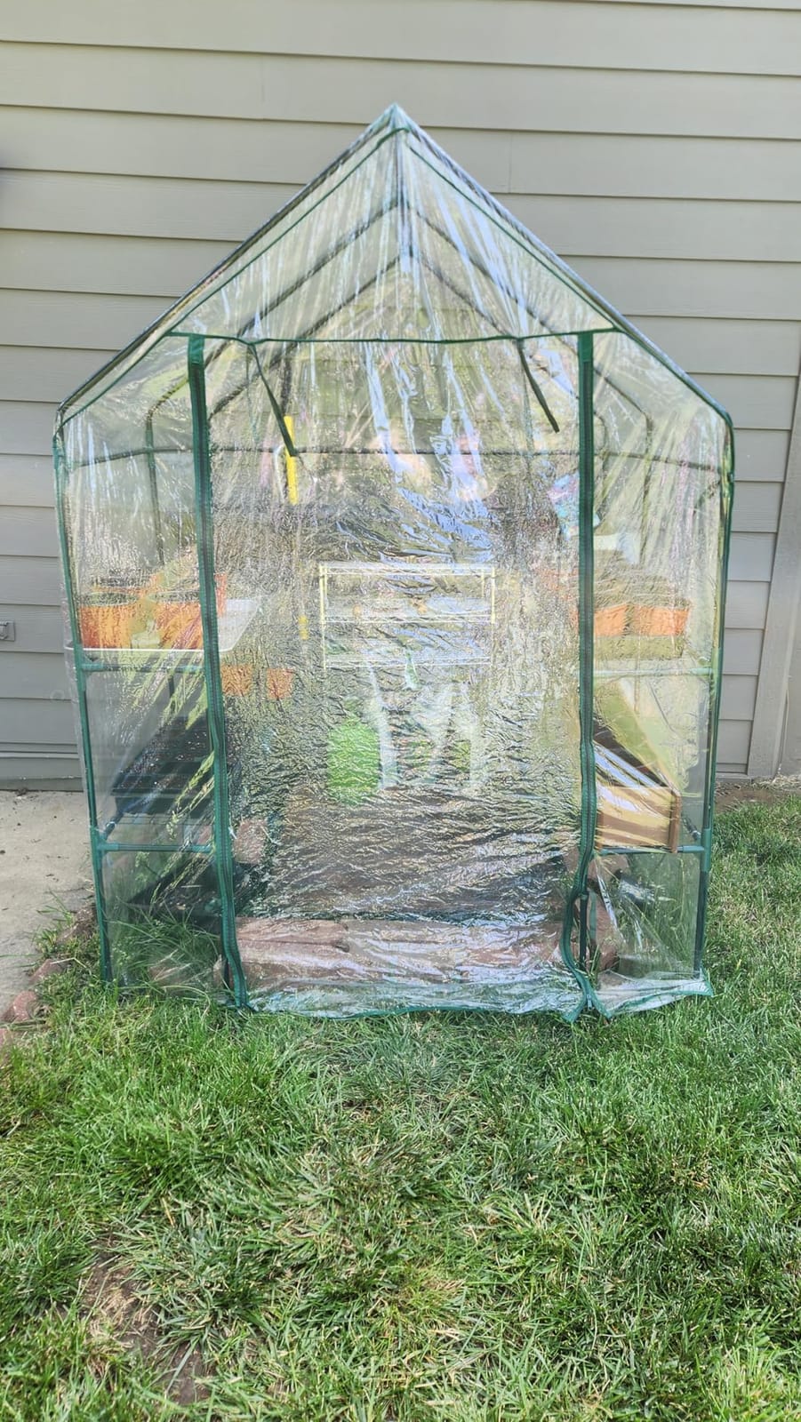 Greenhouse - Walk in Greenhouse with 8 Sturdy Shelves and PVC Cover for Indoor or Outdoor Use - 56 x 56 x 76-Inch Green House by Pure Garden customer photo 1