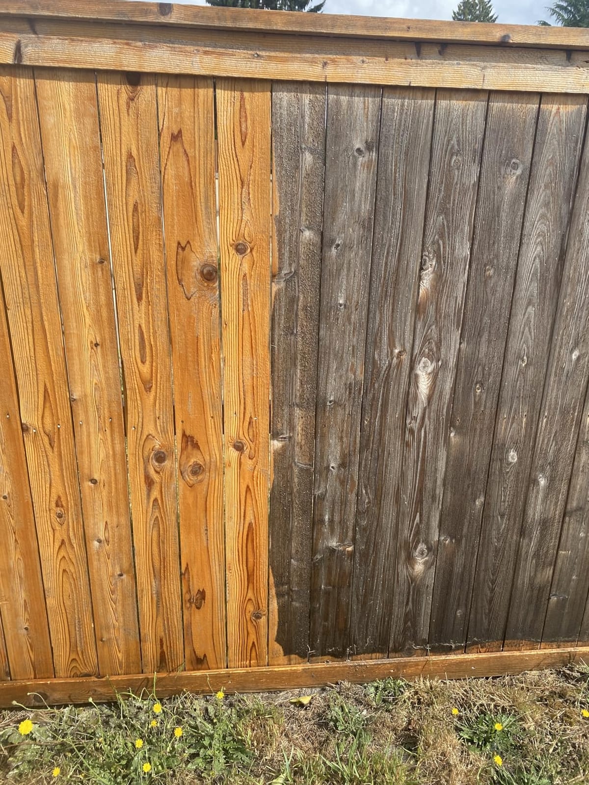 CRAFTSMAN Electric Pressure Washer, Cold Water, 1900 Max PSI, 1.2 GPM, Corded (CMEPW1900) customer photo 2