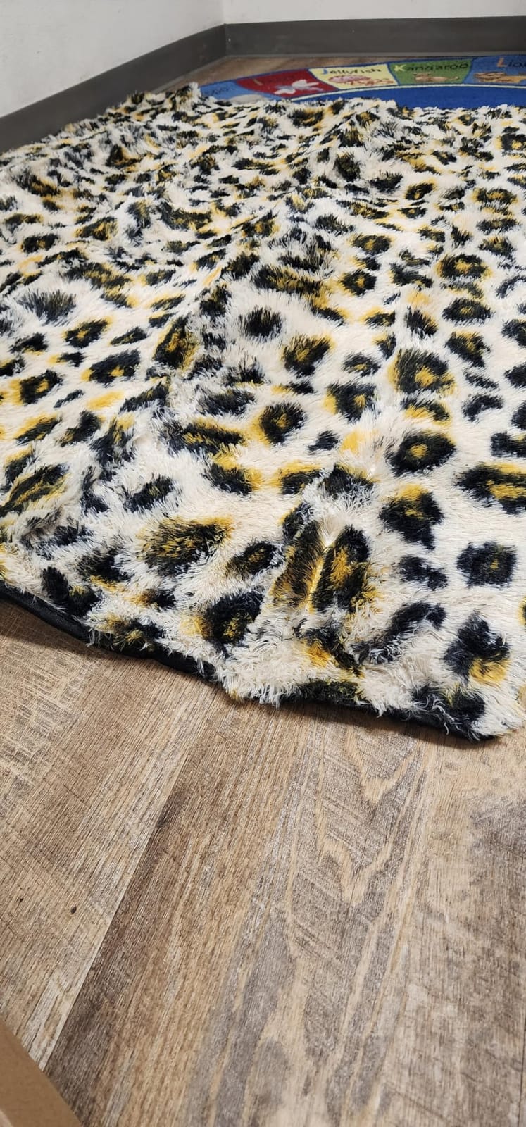 Ophanie Area Rugs for Living Room Bedroom, Washable Non-Slip Fluffy Soft Grey Shag Carpet, Indoor Floor Gray 4x6 Fuzzy Shaggy Living Room Plush Rug for Kids Home Dorm Decor Aesthetic customer photo 1