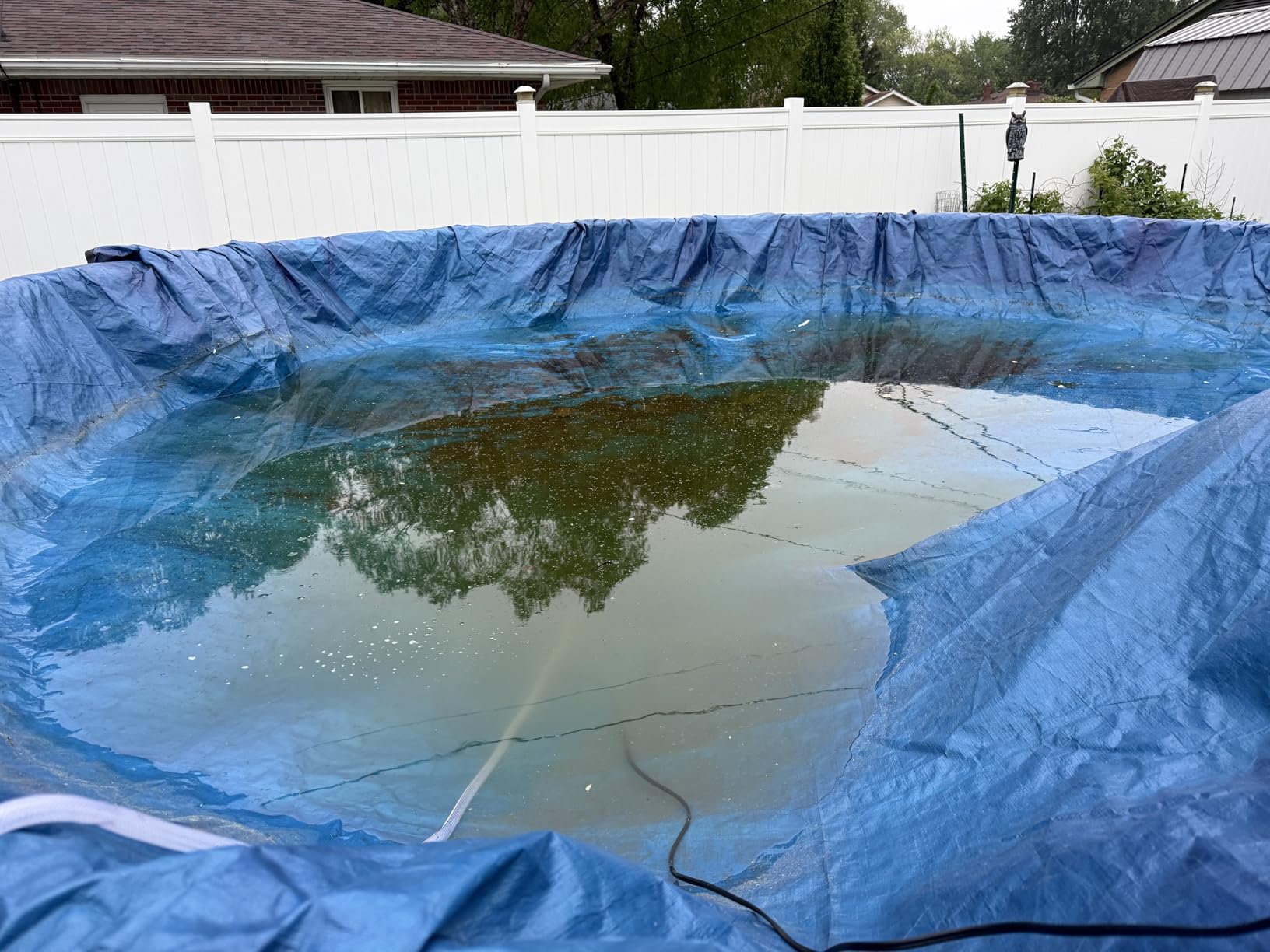 AgiiMan 850GPH Pool Cover Pump, Submersible Sump Pump above Ground | 16FT Drain Hose, 25FT Power Cord, 3 Adapters, Compact Design, Fast Water Removal for Pool Covers and Above Ground Pools customer photo 2