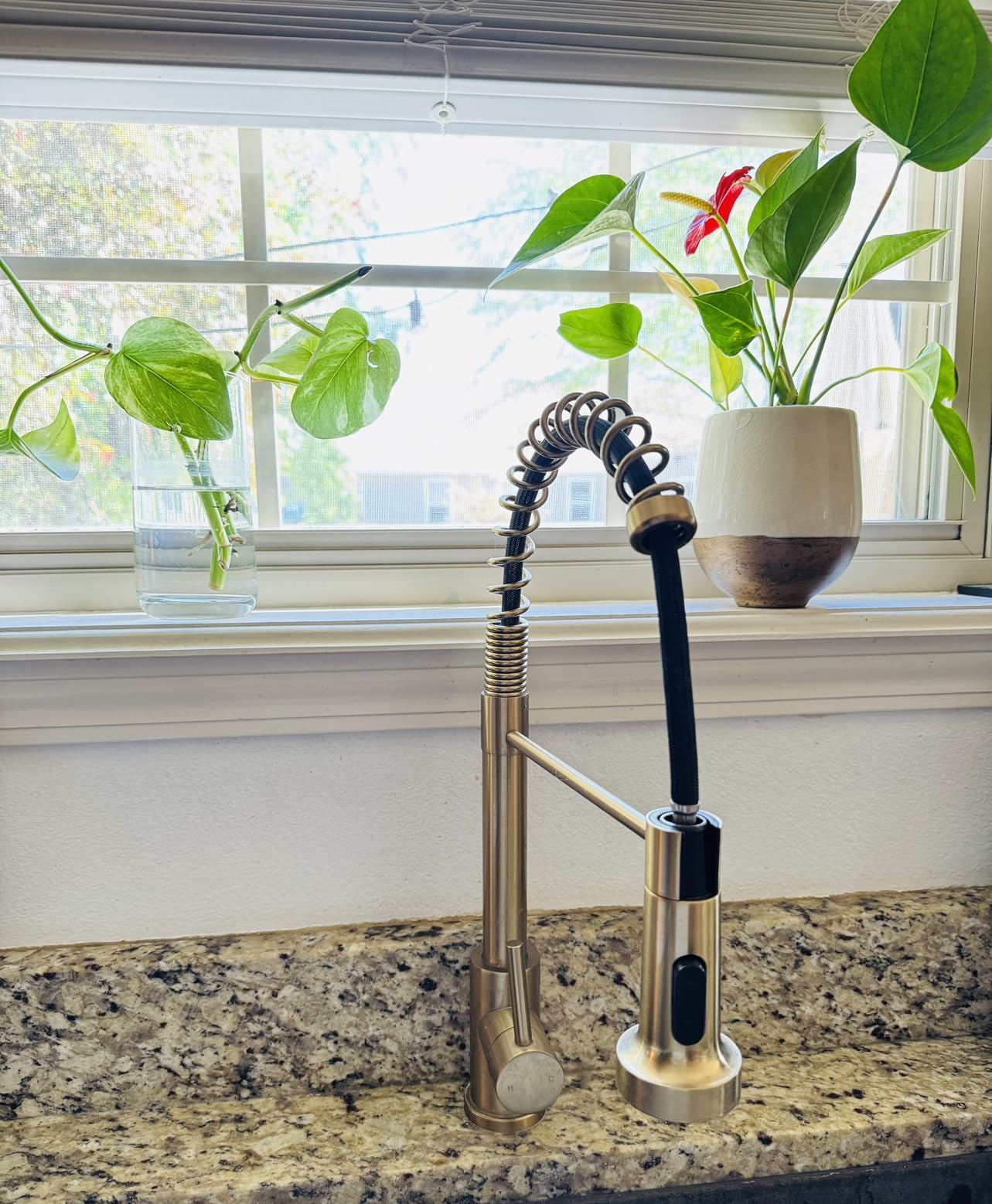 FORIOUS Kitchen Faucets with Pull Down Sprayer, Brushed Nickel Stainless Steel Commercial Single Handle Classic Spring Pull Out Sink Faucet for Pot Filler, Farmhouse Camper Bar Laundry Room customer photo 1