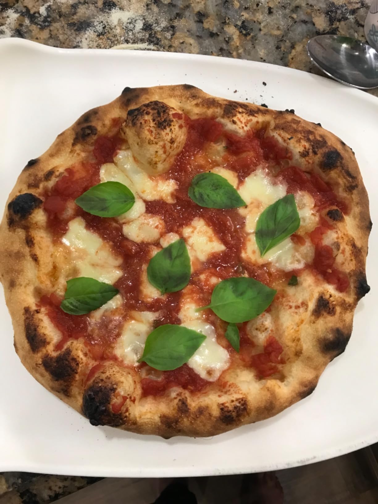 Breville BPZ820BSS Smart Oven Pizzaiolo, Brushed Stainless Steel | Craft wood fired, New York-style, thin crust pizzas and more with preset functions in this versatile countertop pizza maker customer photo 1