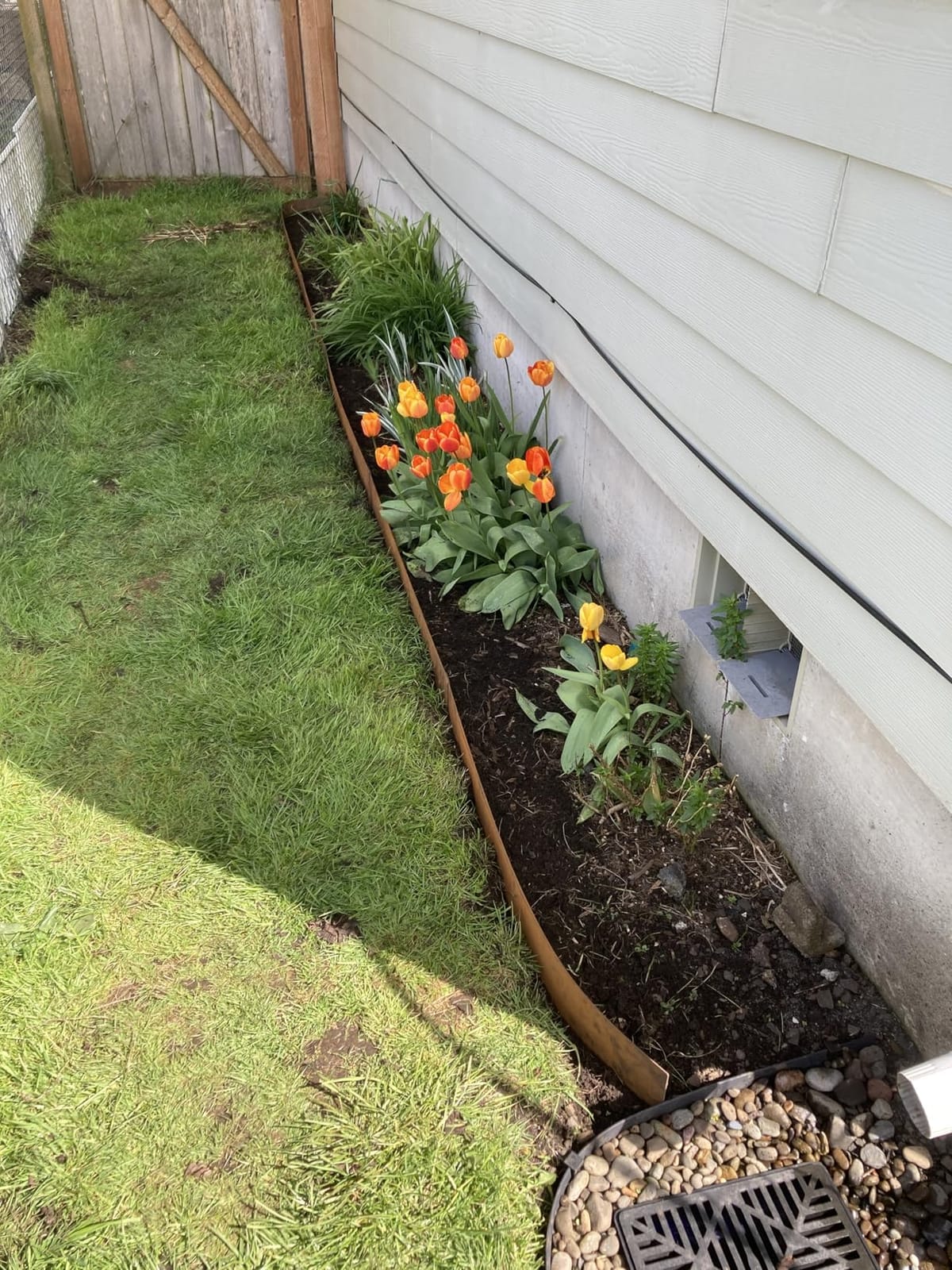 WORTH Garden 20ft Landscape Edging Pre-Rusted 14-Gauge Corten Steel | Heavy Duty Metal Garden Edging Border, 6-Pack 5.5