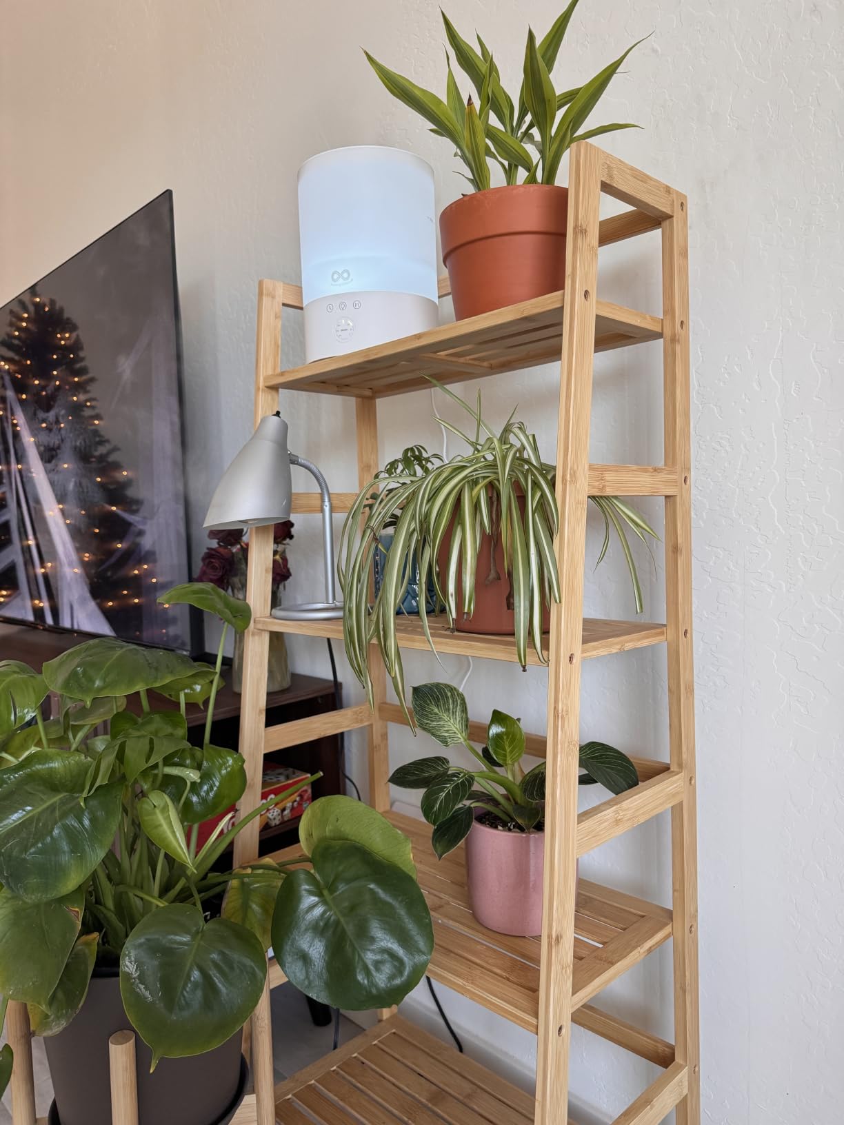 Bamboo Ladder Shelf, 4-Tier Wooden Ladder Bookshelf & Bookcase Organizer | 50