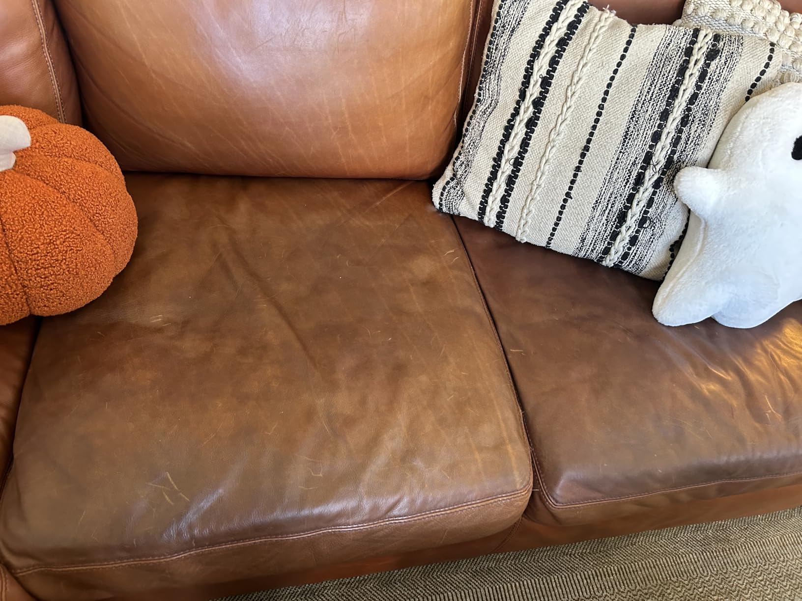 Leather Honey Complete Leather Care Kit - Non-Toxic, Made in USA | Trusted Since 1968. Complete Kit Includes Cleaner, Conditioner and Cloths. Clean & Restore Couches, Car Seats, Jackets & Bags customer photo 2