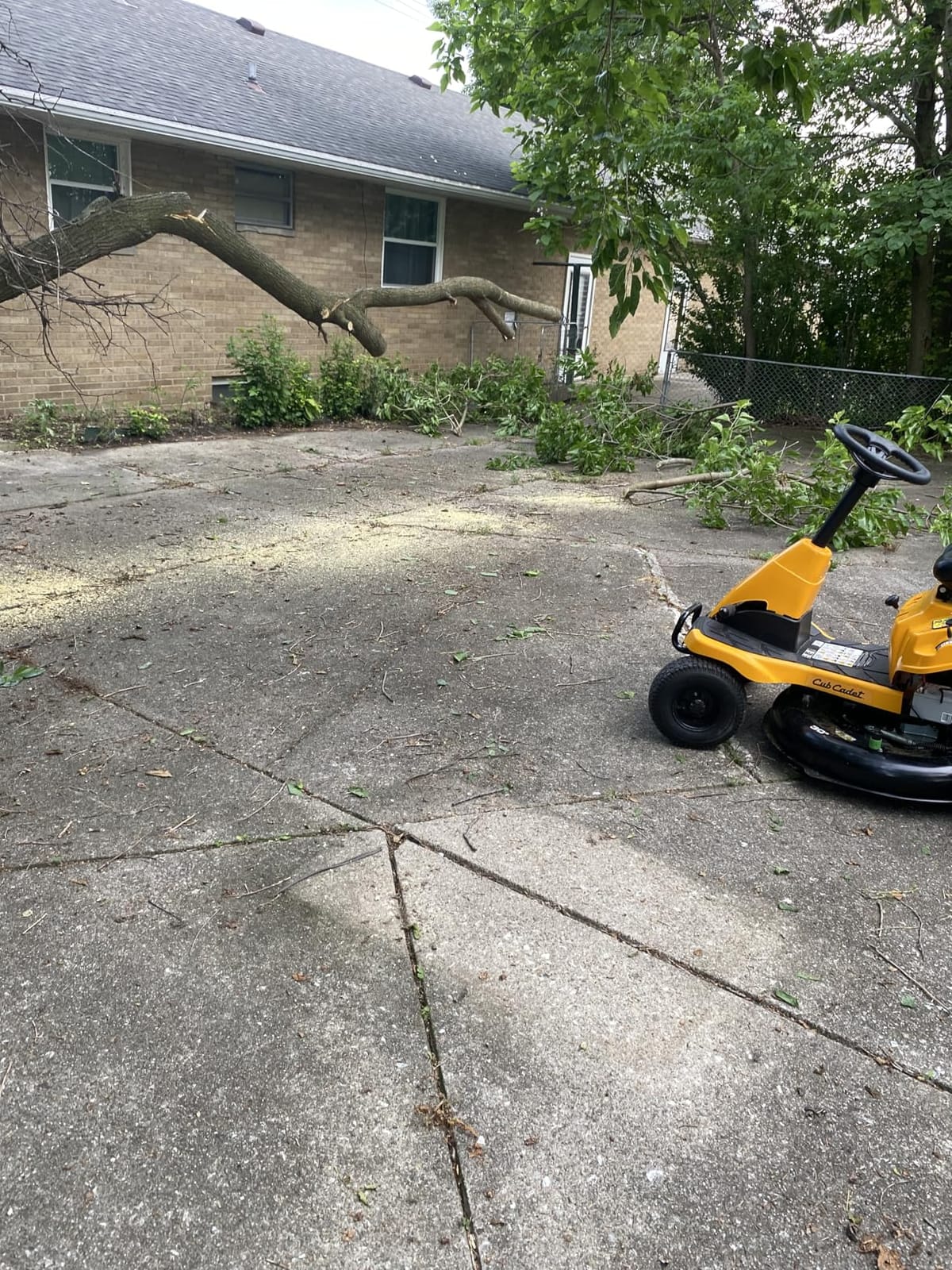 EGO POWER+ Chain Saw, 16