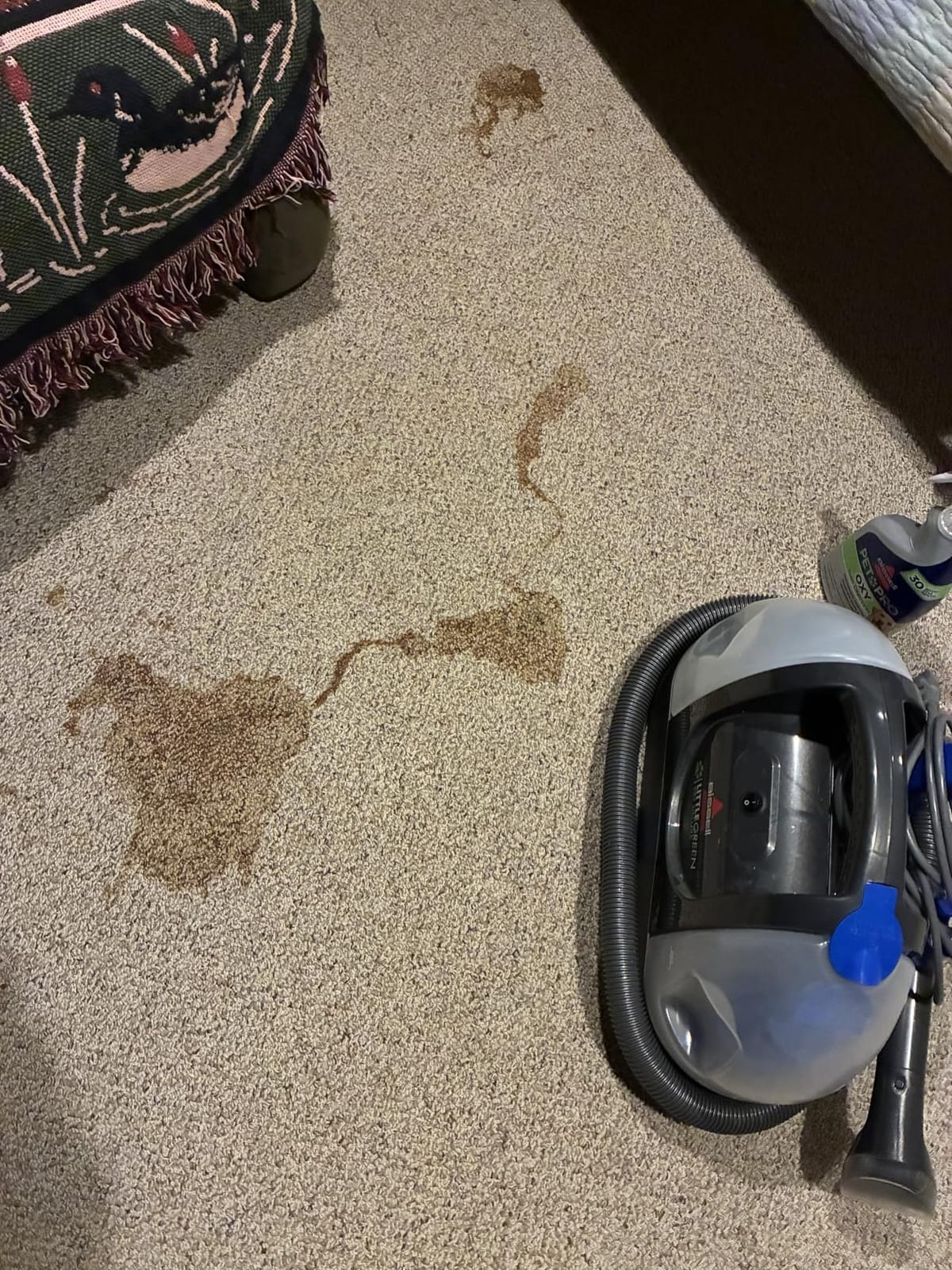 BISSELL Little Green Pet Deluxe Portable Carpet Cleaner, 3353 customer photo 1