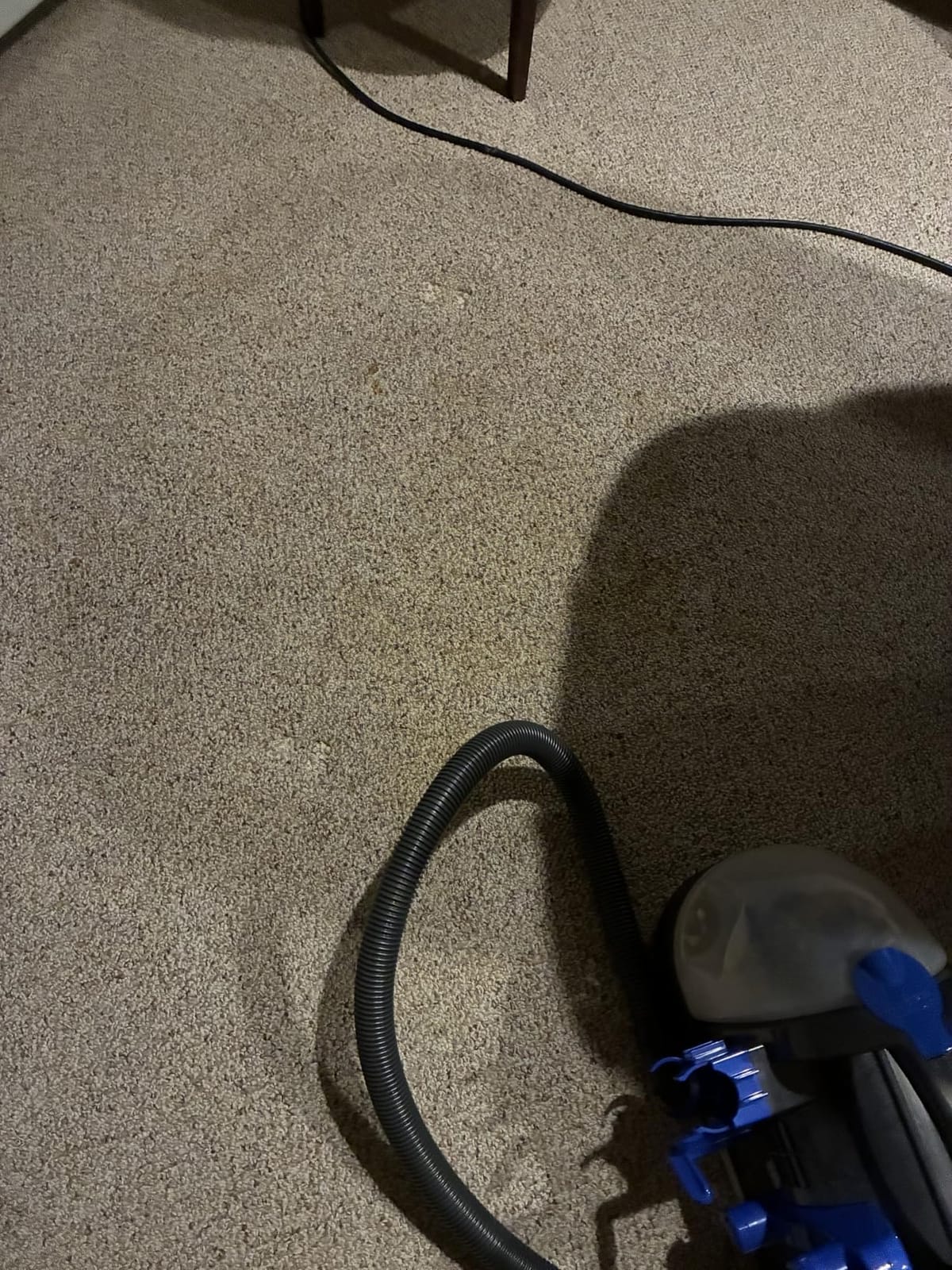BISSELL Little Green Pet Deluxe Portable Carpet Cleaner, 3353 customer photo 2