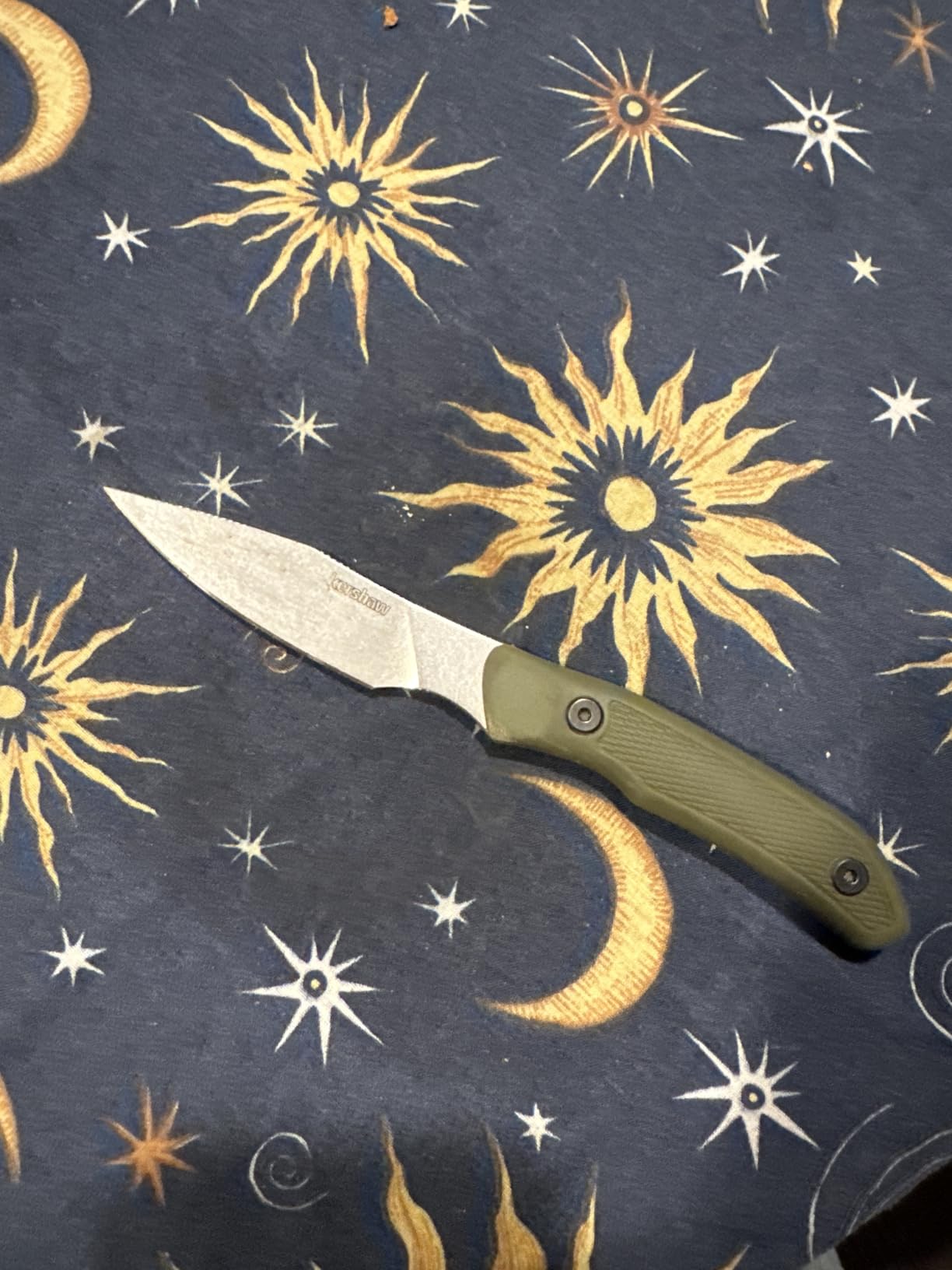Kershaw Deschutes Caper Fixed Blade Knife, Olive | 3.3 Inch D2 Steel Fixed Clip Point Blade, Full Tang Design, EDC, Molded Sheath, Everyday Carry for Men and Women customer photo 2