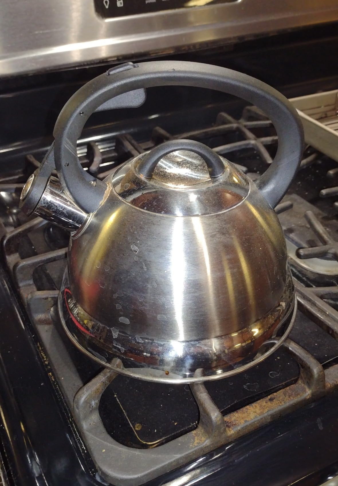 Mr. Coffee Flintshire 1.75-Quart Stainless Steel Whistling Tea Kettle with Nylon Handle - Copper Finish Stove-Top Kettle for Boiling Water customer photo 2