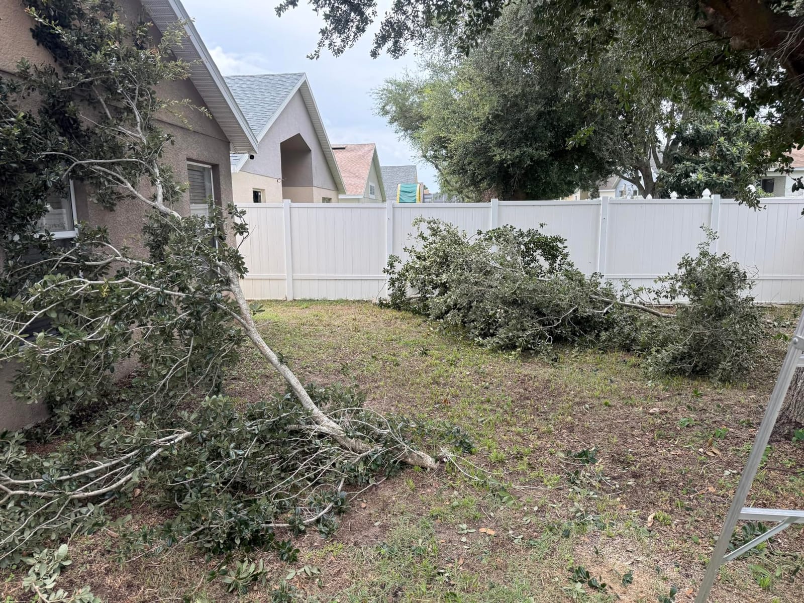 14FT Pole Saw for Tree Trimming 2-in-1 Hand Saw Steel Blade Extension Pole customer photo 1