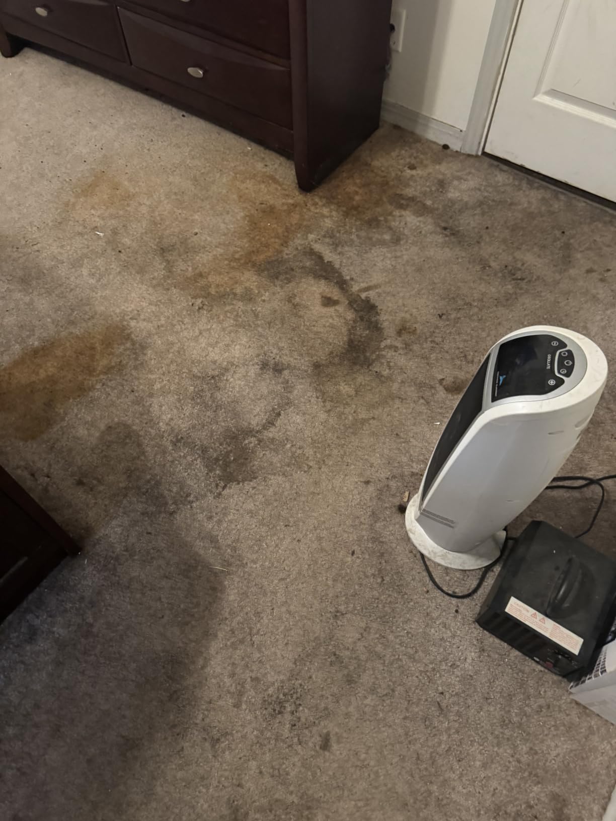 BISSELL ProHeat 2X Revolution Pet Pro Plus Carpet Cleaner, 3588F | Dual Dirt Lifter Powerbrush; hose & tool attachment; pet upholstery tool; upright deep cleaner customer photo 2