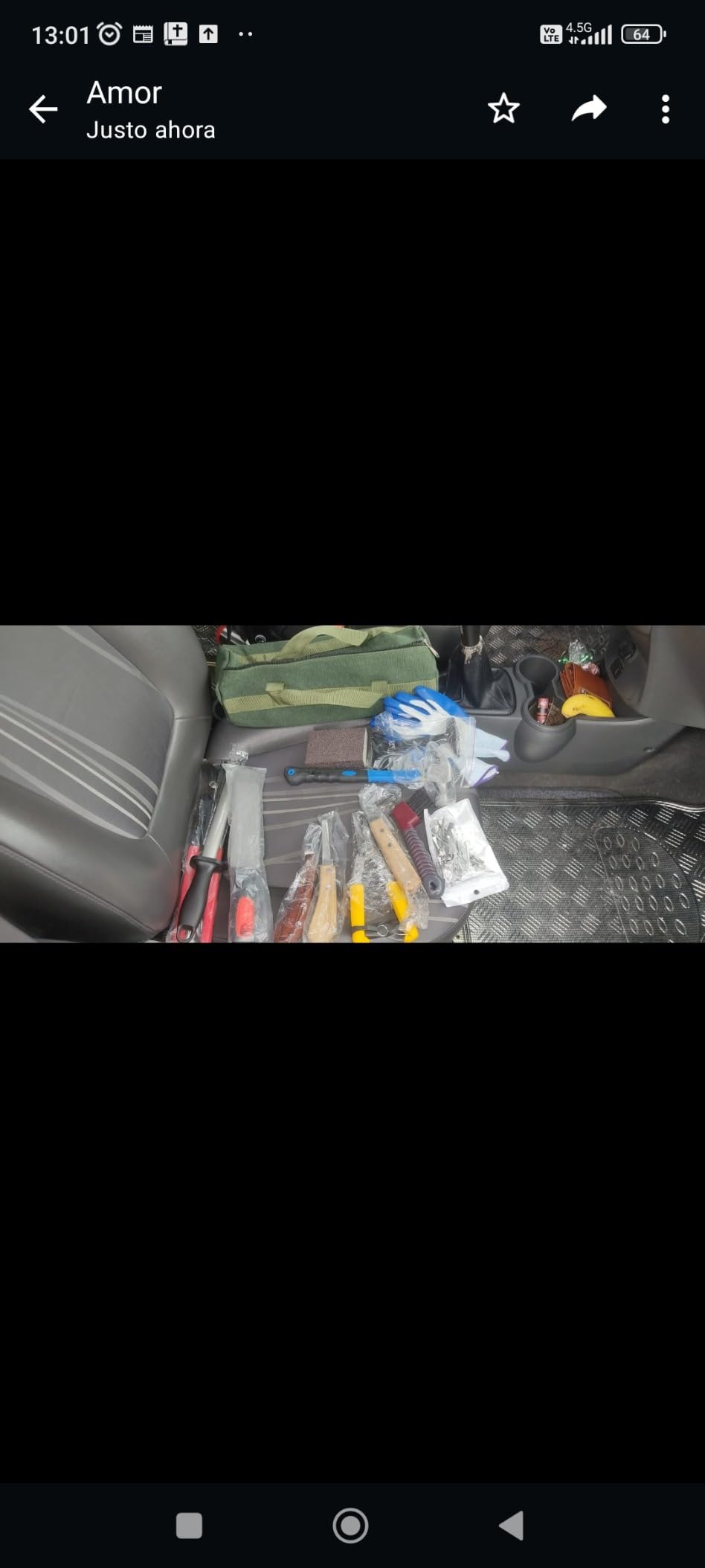 64 Pcs Farrier Tools Kit | Goat Hoof Trimmers, For Horses, For Sheep, For Pigs customer photo 1