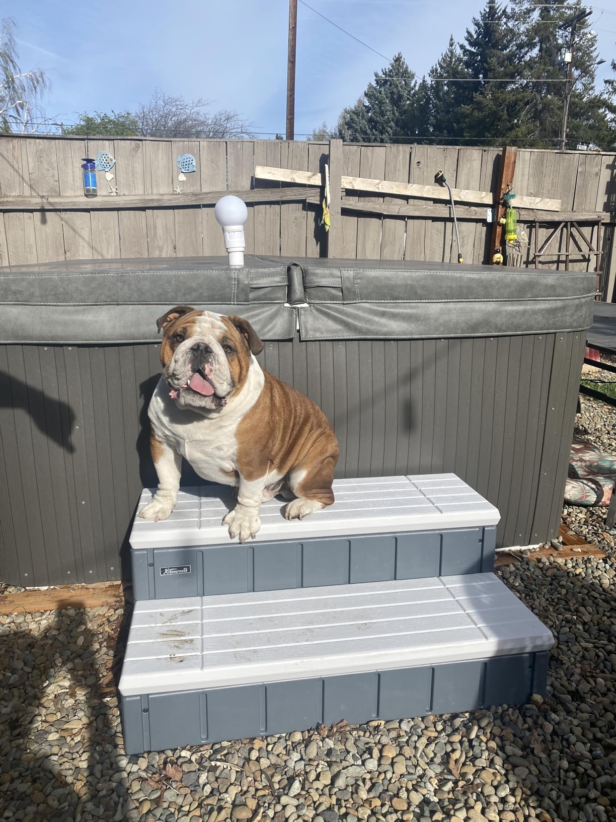 XtremepowerUS Universal Heavy Duty 2-Step Spa & Hot Tub Step Porch Steps with Large Storage Compartment Non-Slip Resistant Step Stairs 36