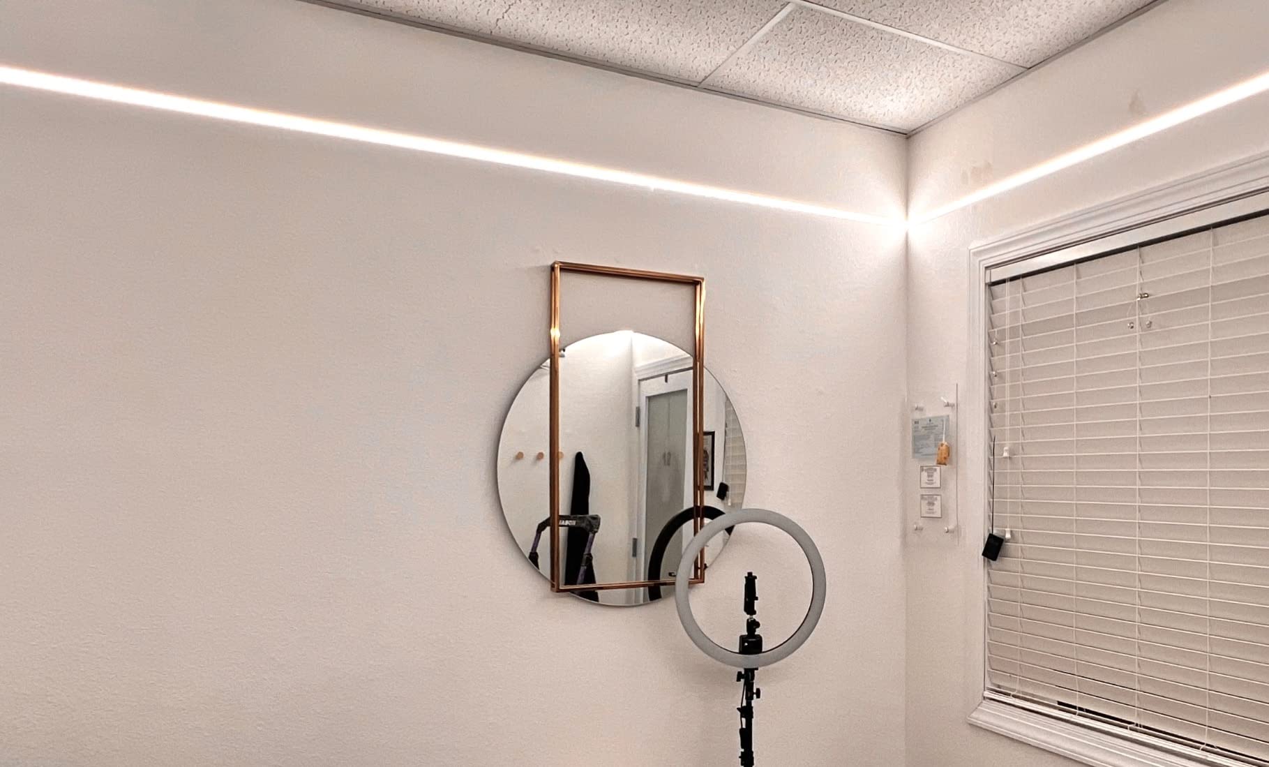 Armacost Lighting RibbonFlex Pro 24V White CCT Tunable LED Strip Light Tape 32ft (10m) customer photo 2